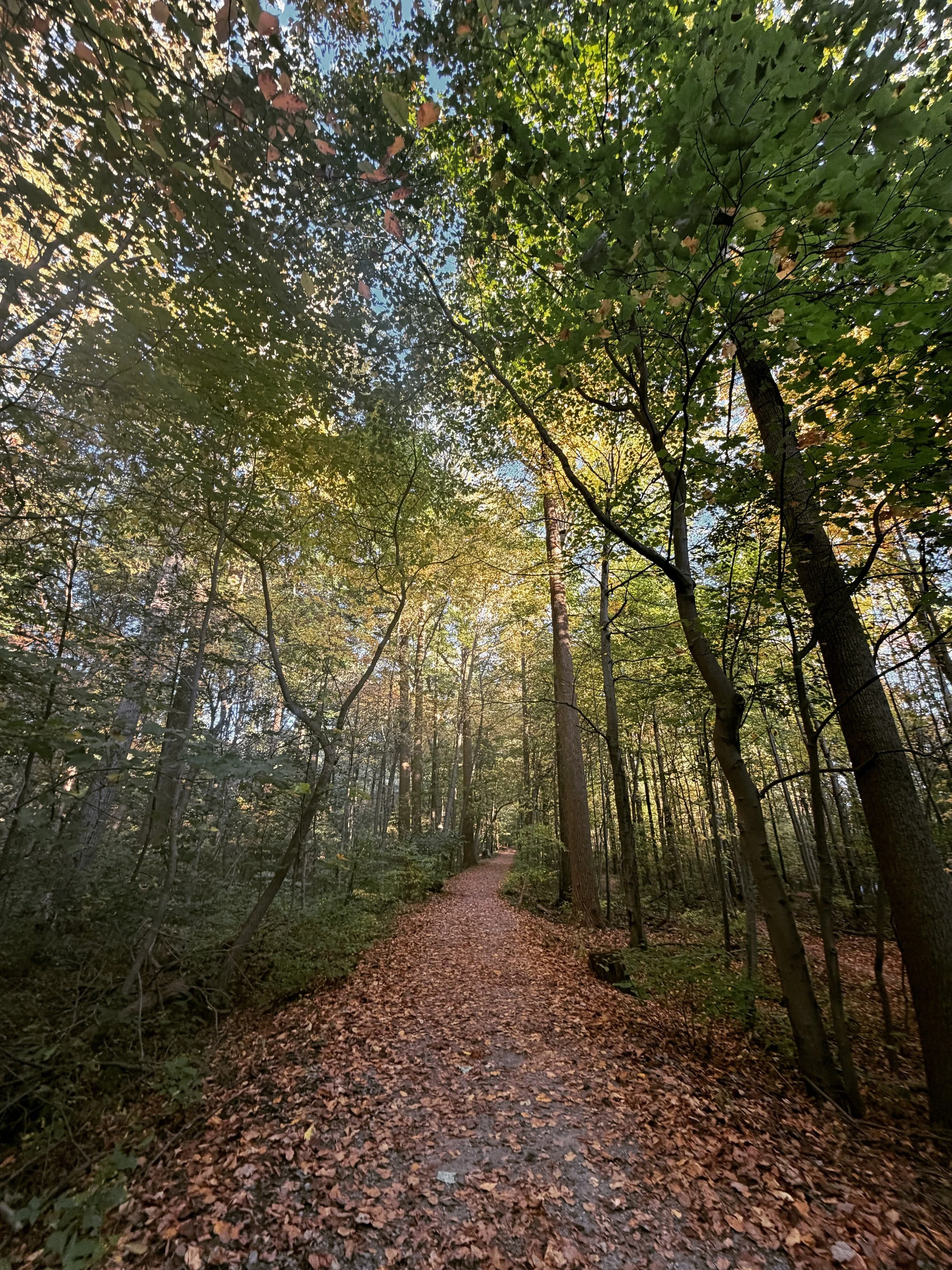 The word that kept coming up was &ldquo;more.&rdquo;

A coach I work with recently reflected that back to me. We were talking about the future and what I wanted to be true, and I got locked in on one metric and kept circling around it, as if what I h