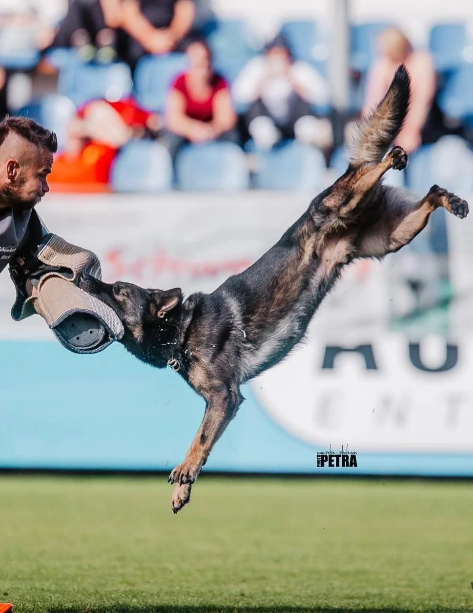 Xavi