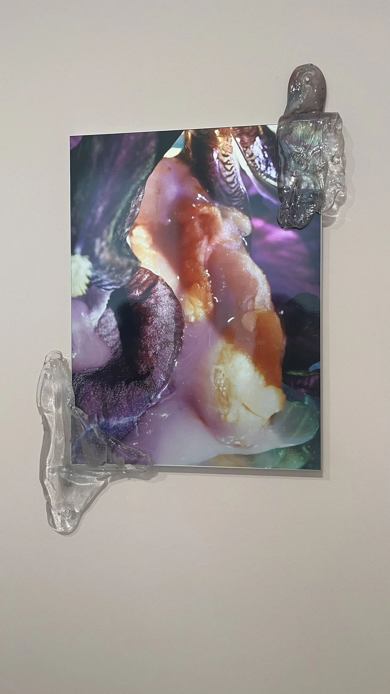 30.01.2025 I Hit You With a Flower @ Stedelijk Museum Schiedam