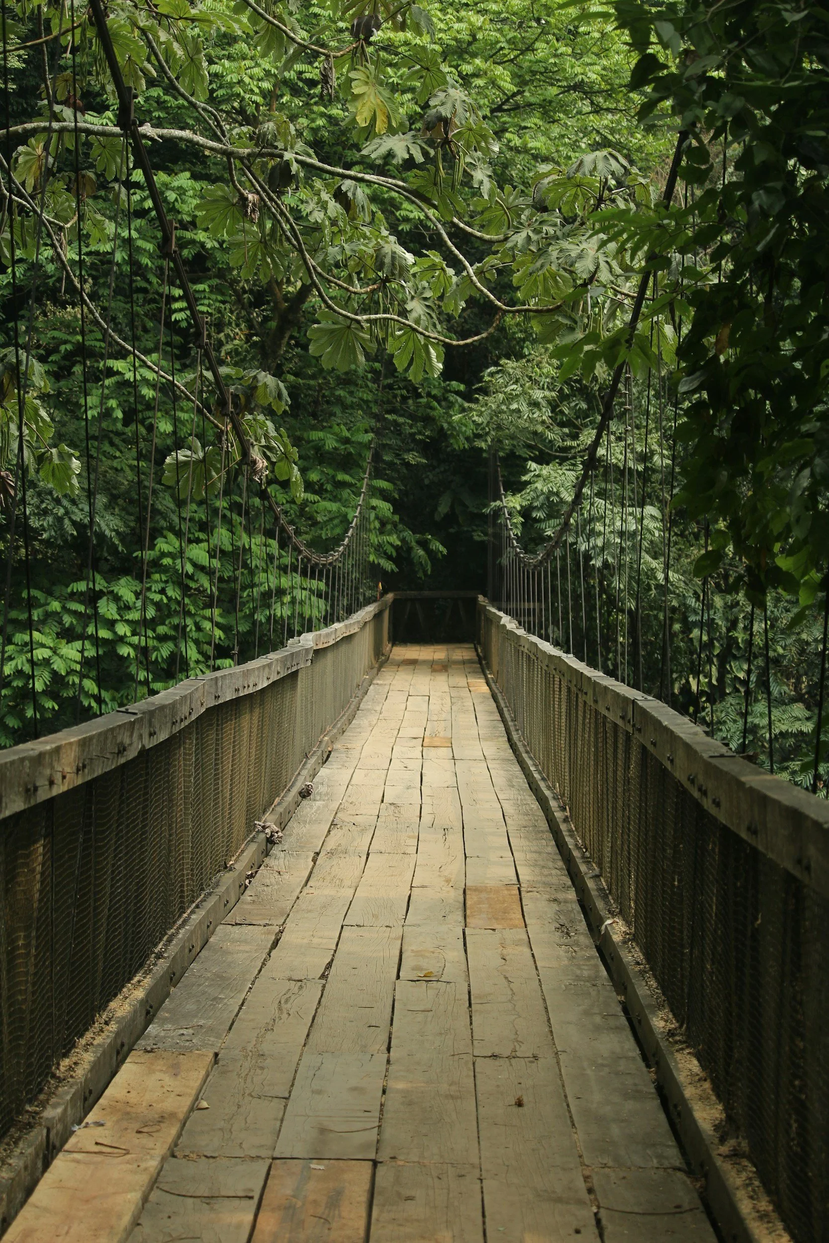 Choose Wisely: Guaranteeing Retirement Income That Lasts a Lifetime