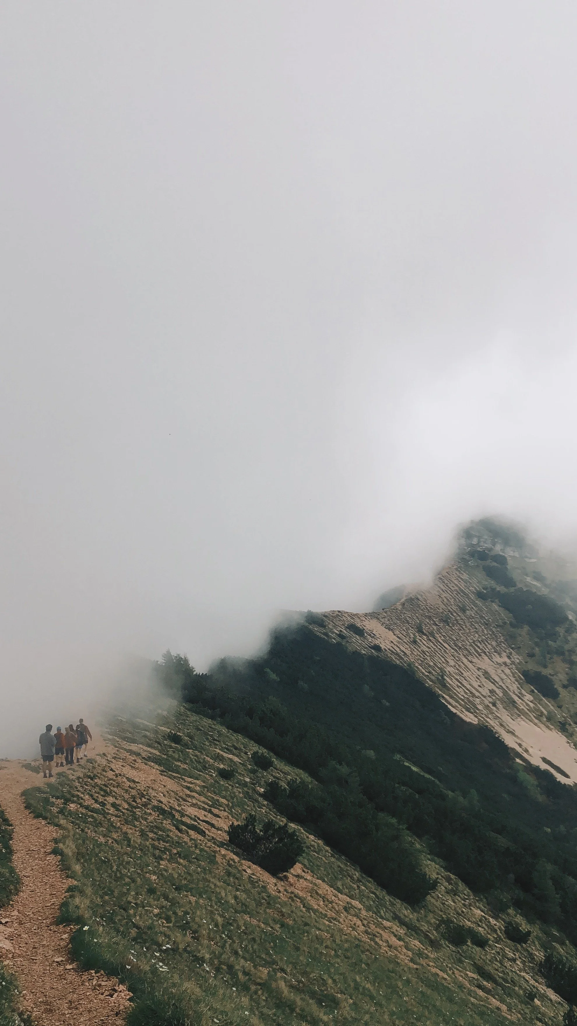 Wilde natuur en het buitenleven.