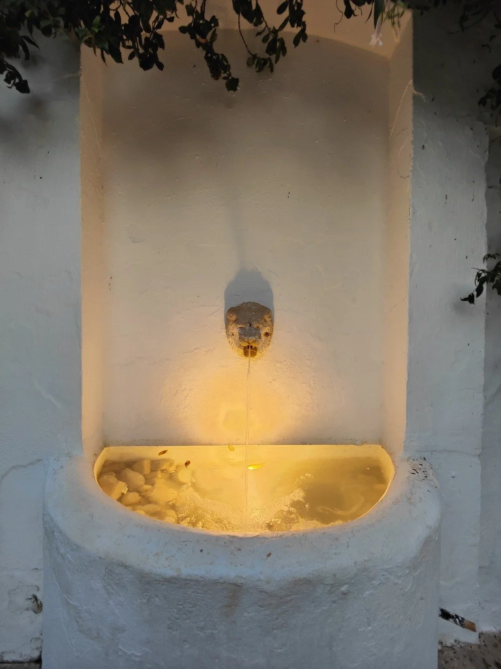 El Noque 161.jpg