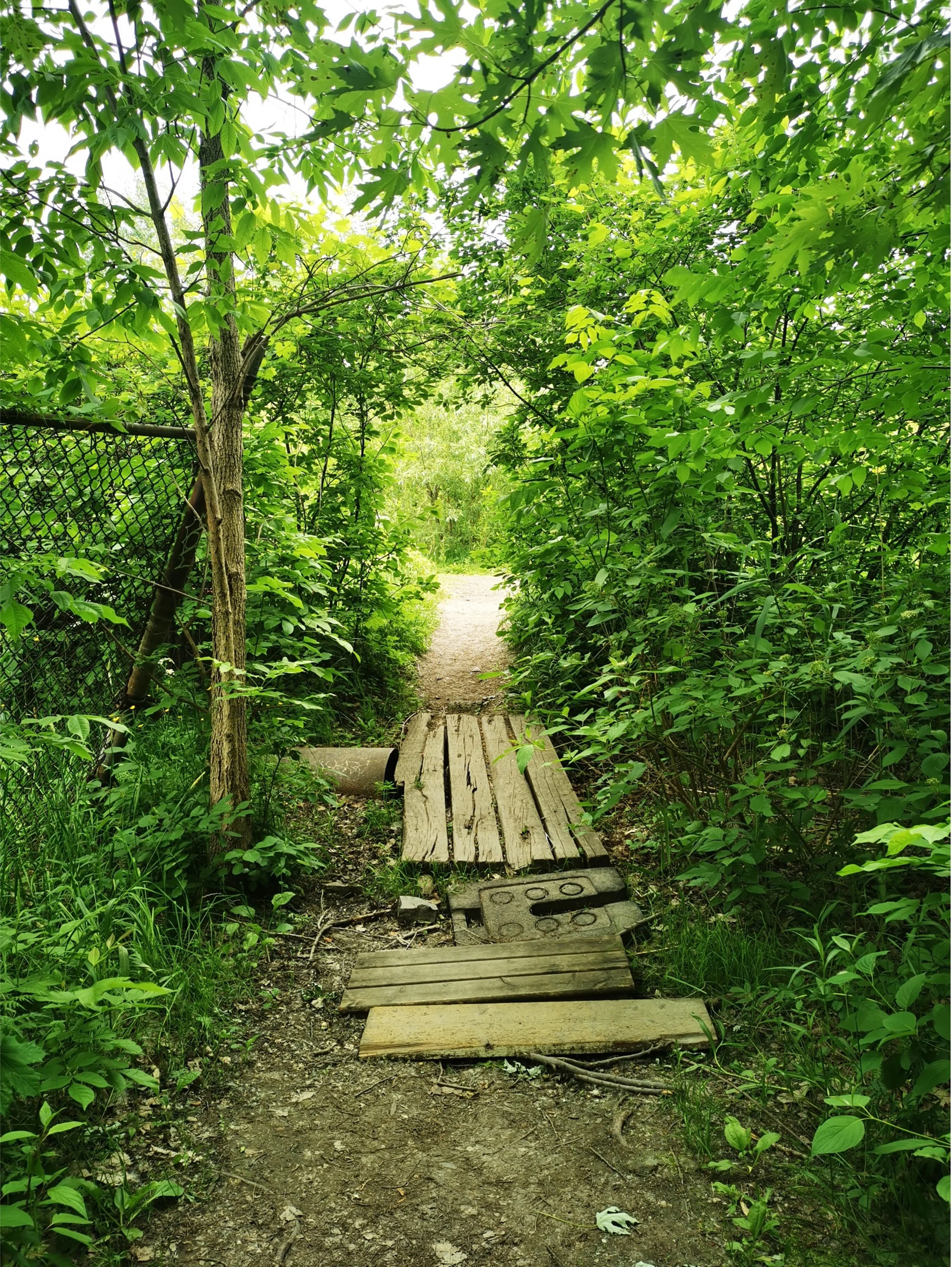 CHEMIN 2.jpg
