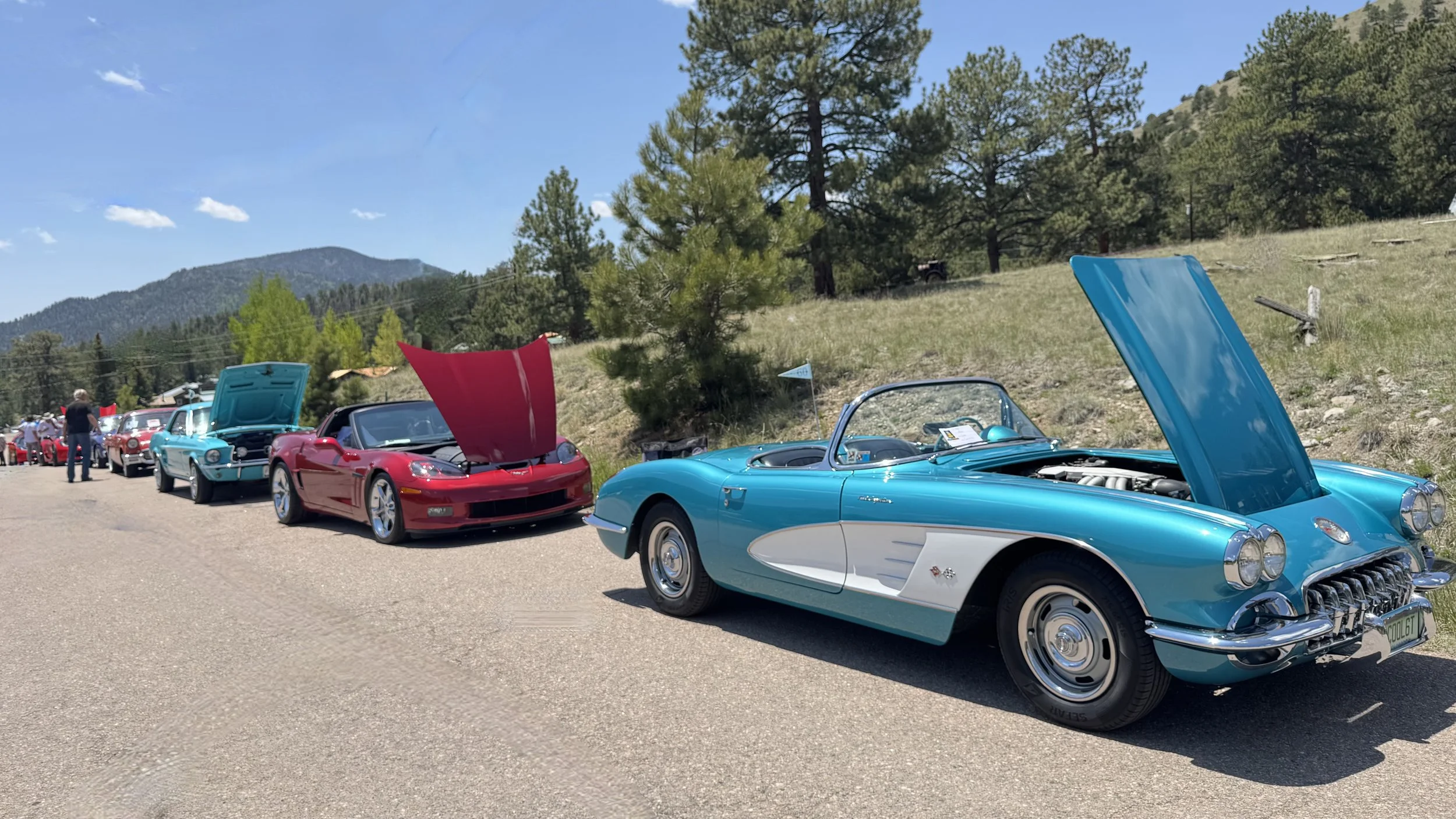 Line of vintage and classic cars with open hoods parked along a rural roadside on a sunny day with mountain and trees in background.