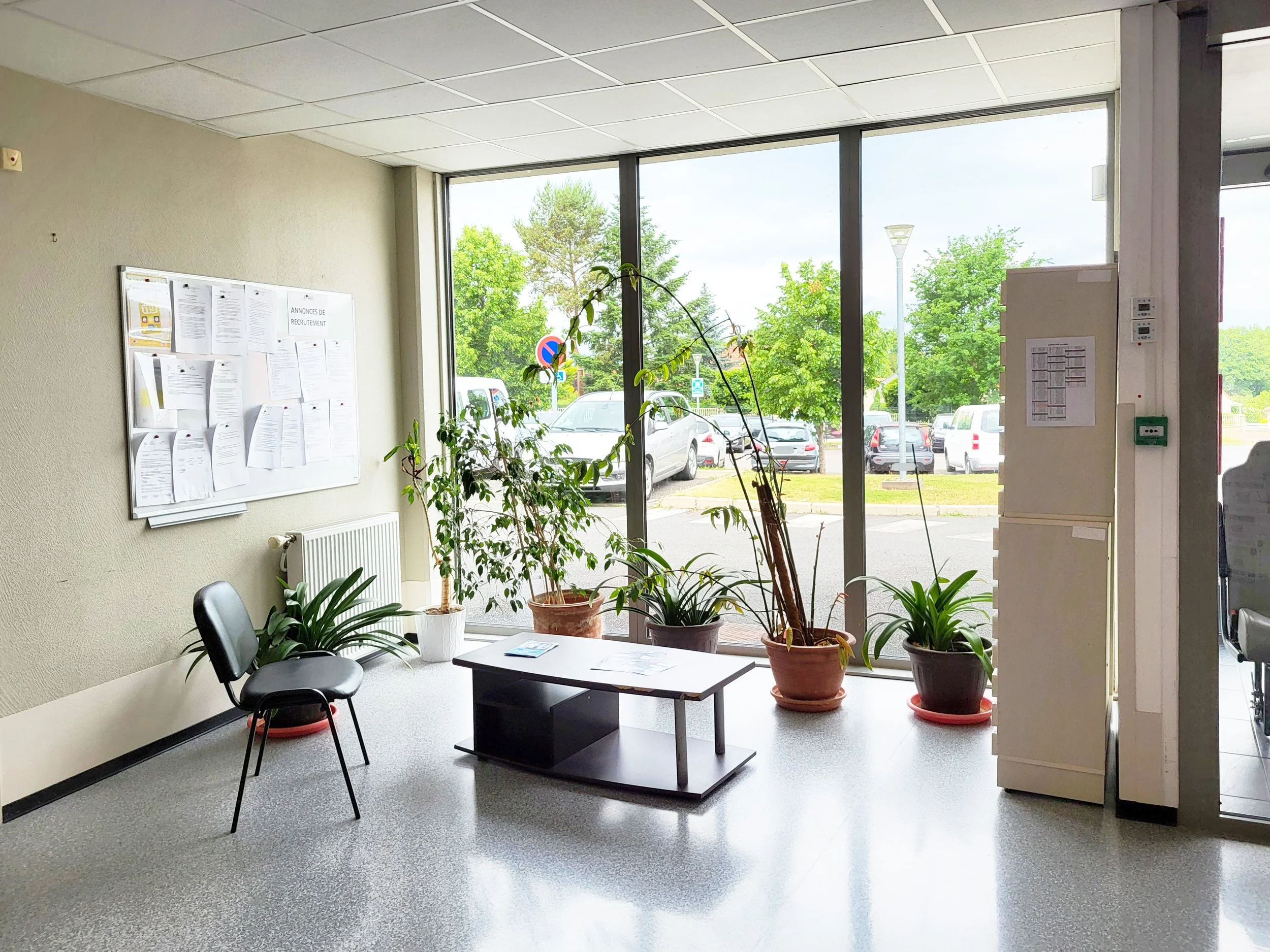 Salle d'attente avec une chaise, une table, plusieurs plantes en pots près d'une grande fenêtre donnant sur un parking extérieur, tableau d'affichage avec des papiers et un panneau de communication