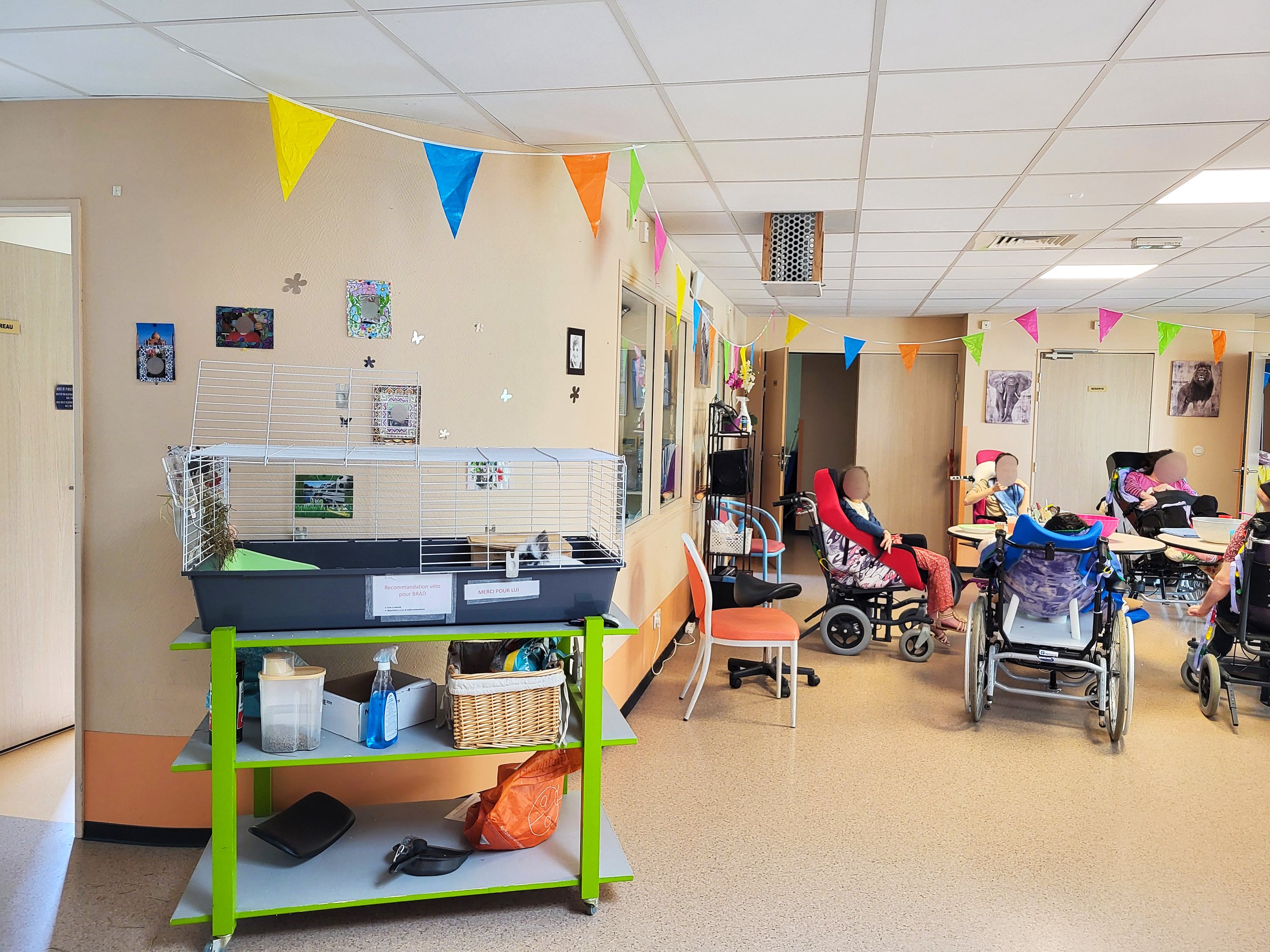 Une salle de soins ou de divertissement pour personnes âgées ou en fauteuil roulant, décorée avec des guirlandes de drapeaux colorés, avec plusieurs patients en fauteuils roulants, portraits d'animaux au mur, et un meuble avec un animal en cage.