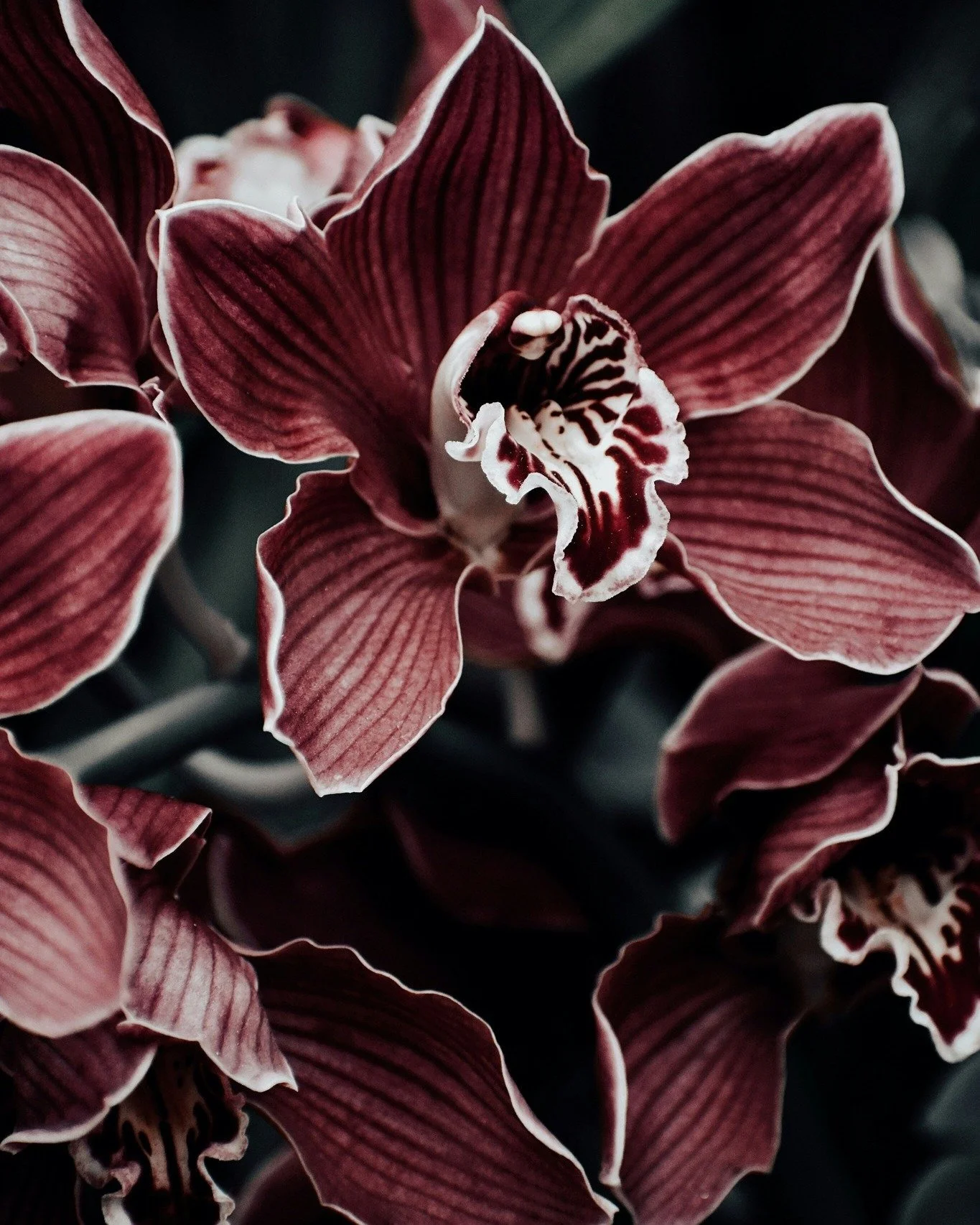 ✨ Black Orchid &ndash; L&rsquo;&eacute;l&eacute;gance florale et gourmande 

Un parfum d&rsquo;ambiance qui s&eacute;duit par son &eacute;quilibre subtil entre fra&icirc;cheur, sensualit&eacute; et profondeur. 

🍊 Notes de t&ecirc;te : Mandarine rou