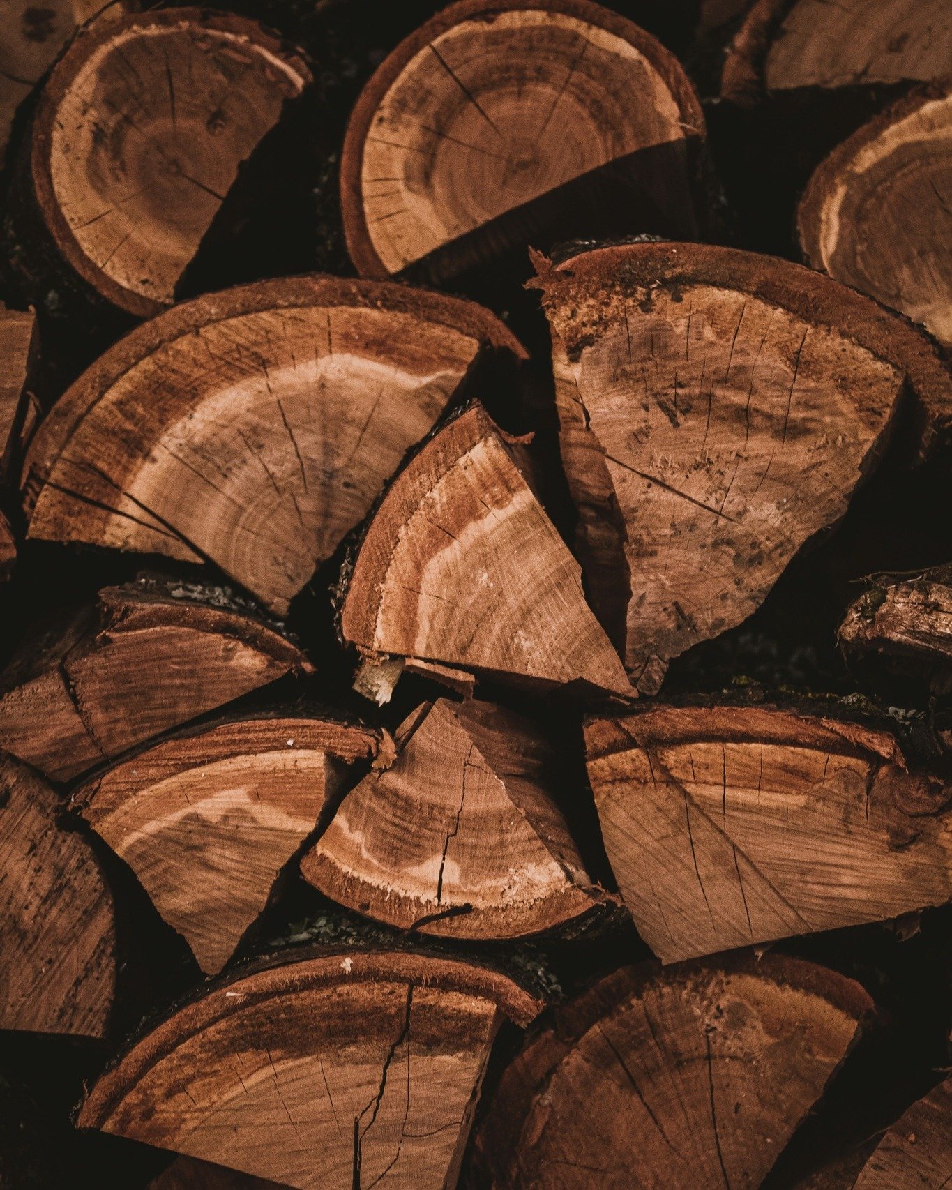 Fermez les yeux&hellip; L&rsquo;odeur du bois a ce pouvoir unique de r&eacute;veiller des souvenirs enfouis. Un feu de chemin&eacute;e cr&eacute;pitant, une balade en for&ecirc;t apr&egrave;s la pluie, une cabane perch&eacute;e dans les arbres&hellip
