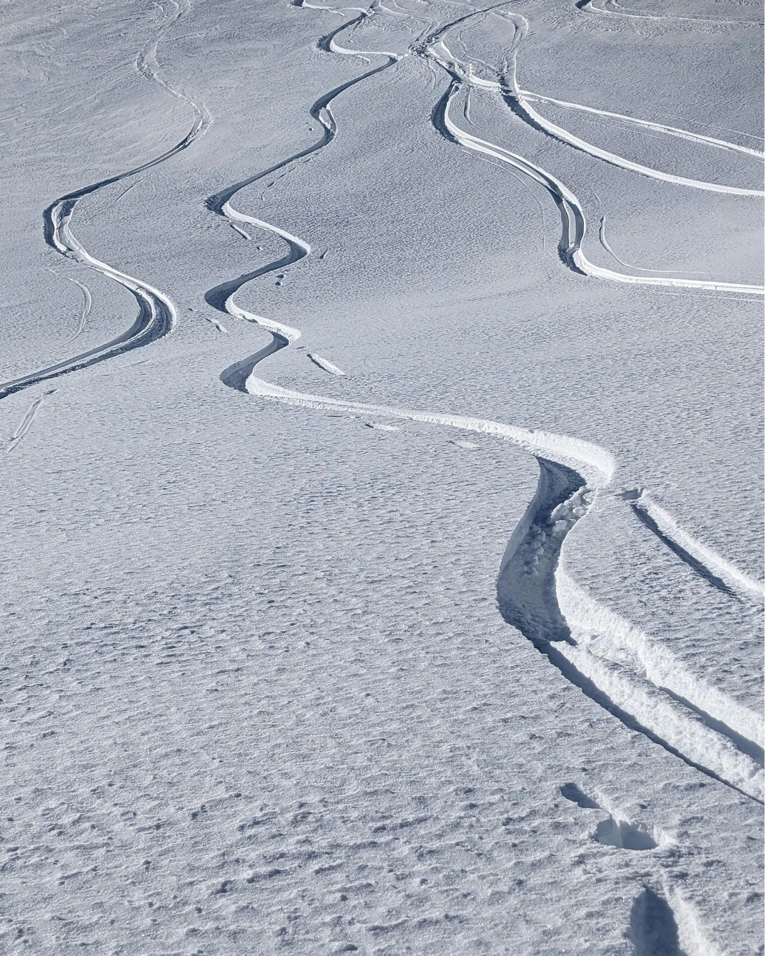 S&rsquo;&eacute;vader gr&acirc;ce au marketing olfactif ❄️ 

Parfois, il suffit d&rsquo;un parfum pour d&eacute;crocher du quotidien. 
Une senteur fra&icirc;che qui rappelle l'hiver, des traces de ski qui ouvrent le chemin&hellip; et l&rsquo;esprit s