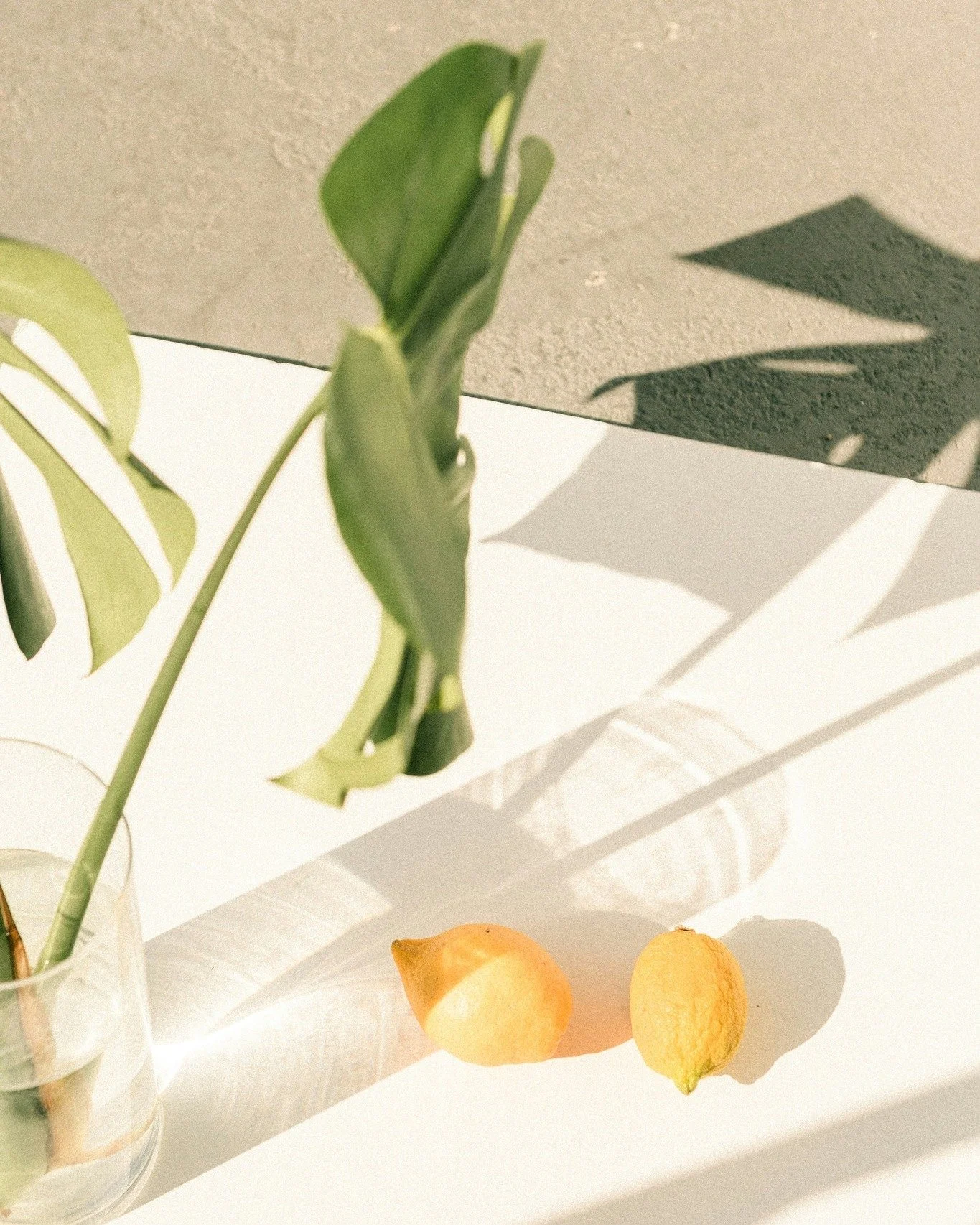 🌊 D&eacute;couvrez Fairmont &ndash; L&rsquo;&eacute;l&eacute;gance aquatique et florale 

Un parfum qui &eacute;voque la fra&icirc;cheur des embruns marins et la d&eacute;licatesse des fleurs blanches, id&eacute;al pour cr&eacute;er une atmosph&egra