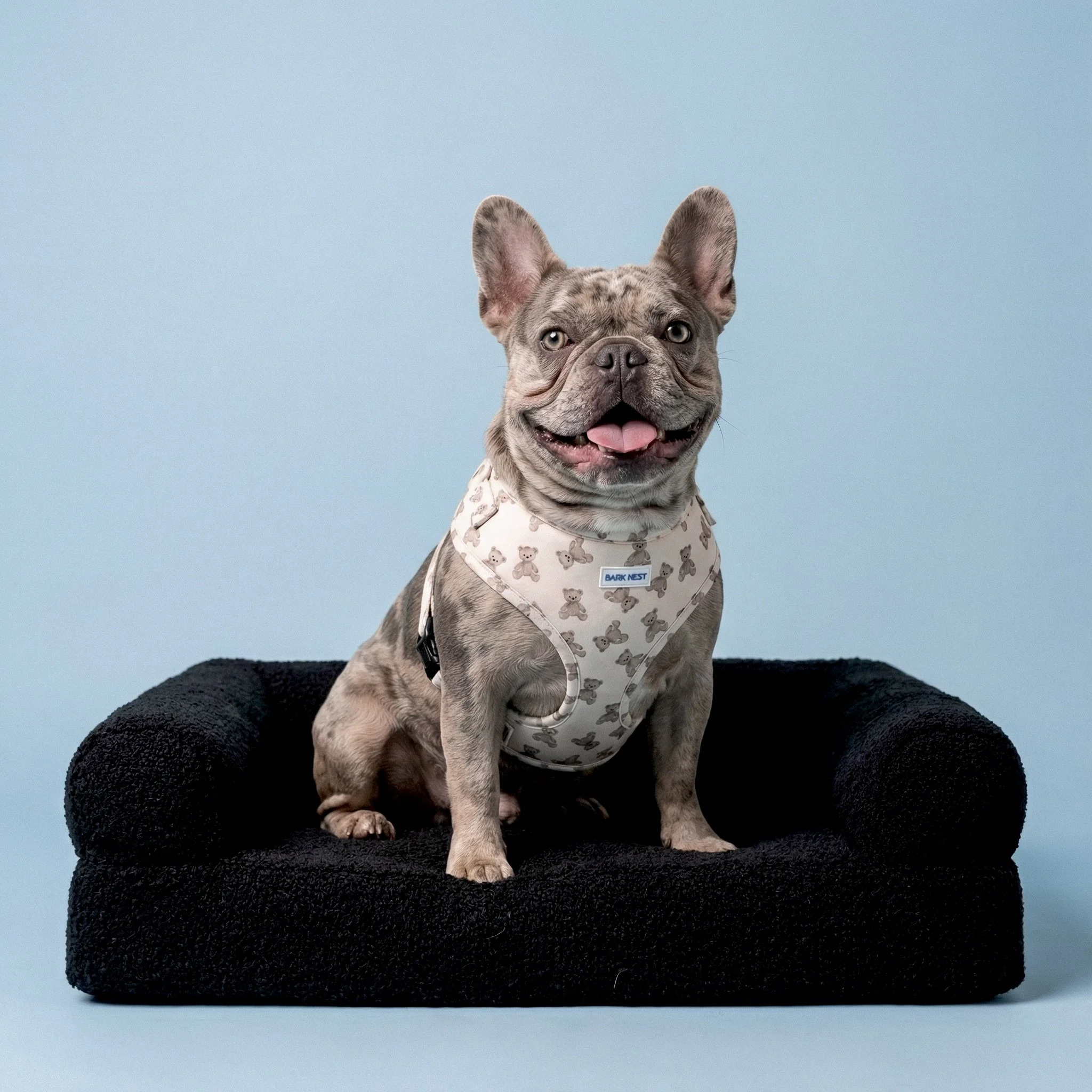 Teddy Beau Baby Blue Teddy Bear Pattern Harness