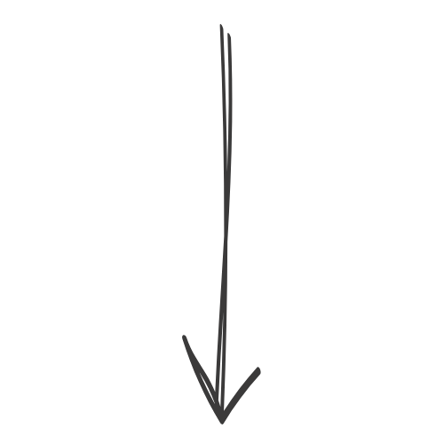 A black and white line drawing of a whale with a downward-facing arrow pointing at it.