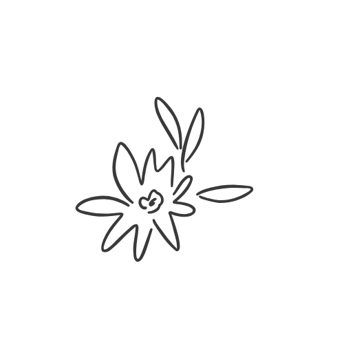 A simple line drawing of a flower with a butterfly above it.