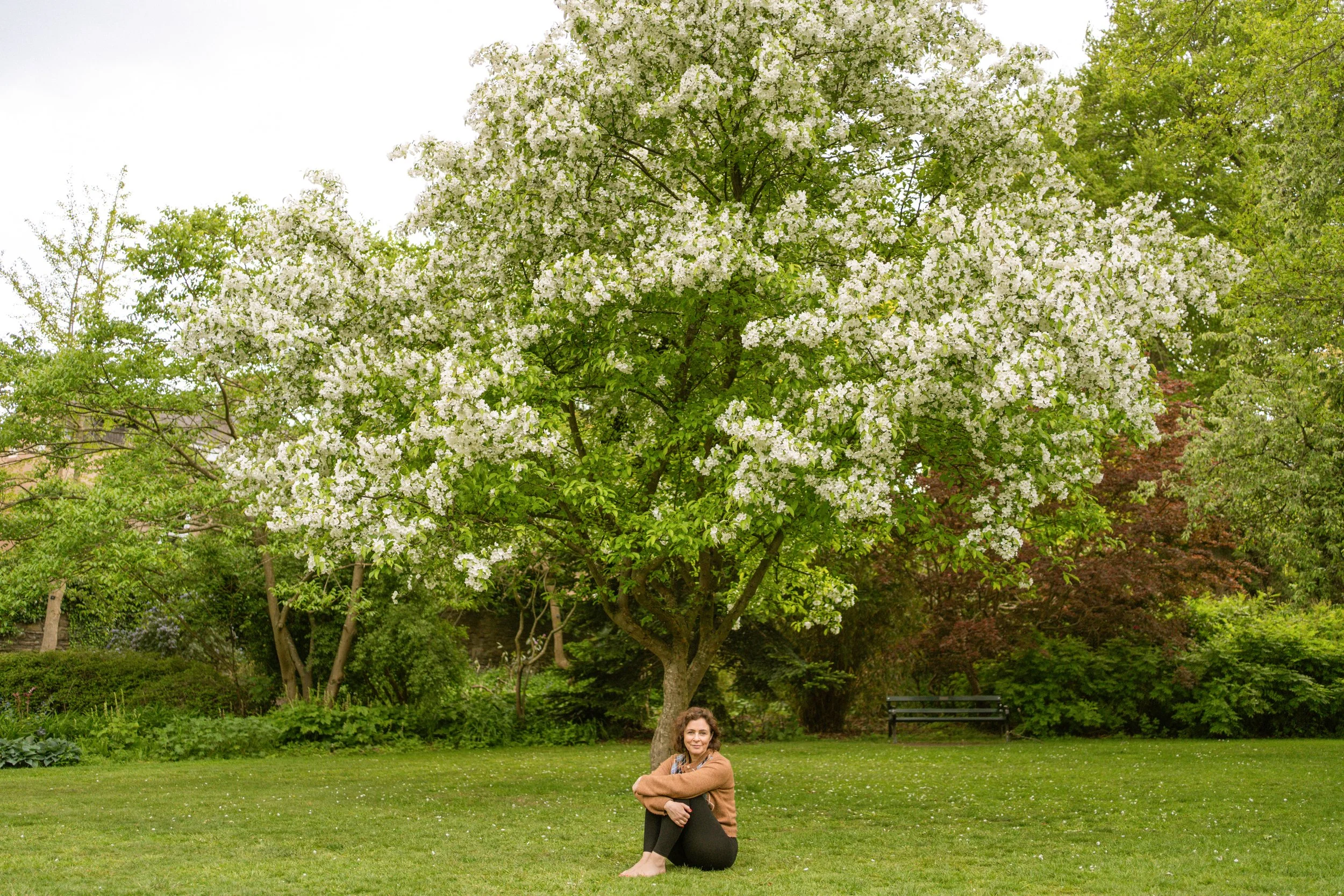 A woman sitting on the grass in a park next to a flowering tree with white blossoms, green leaves, and a park bench in the background.
