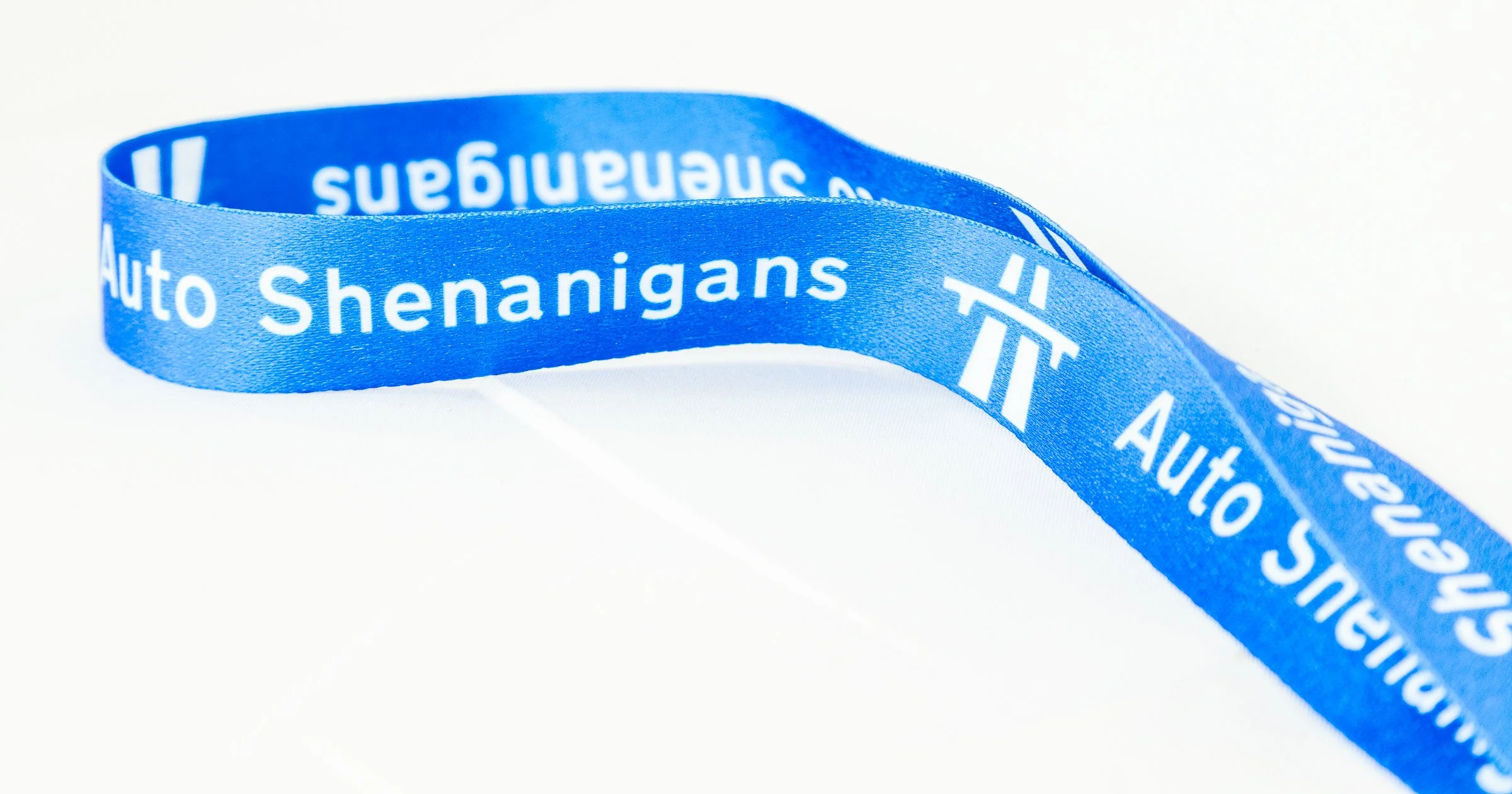 AS-LANYARD81_.jpg