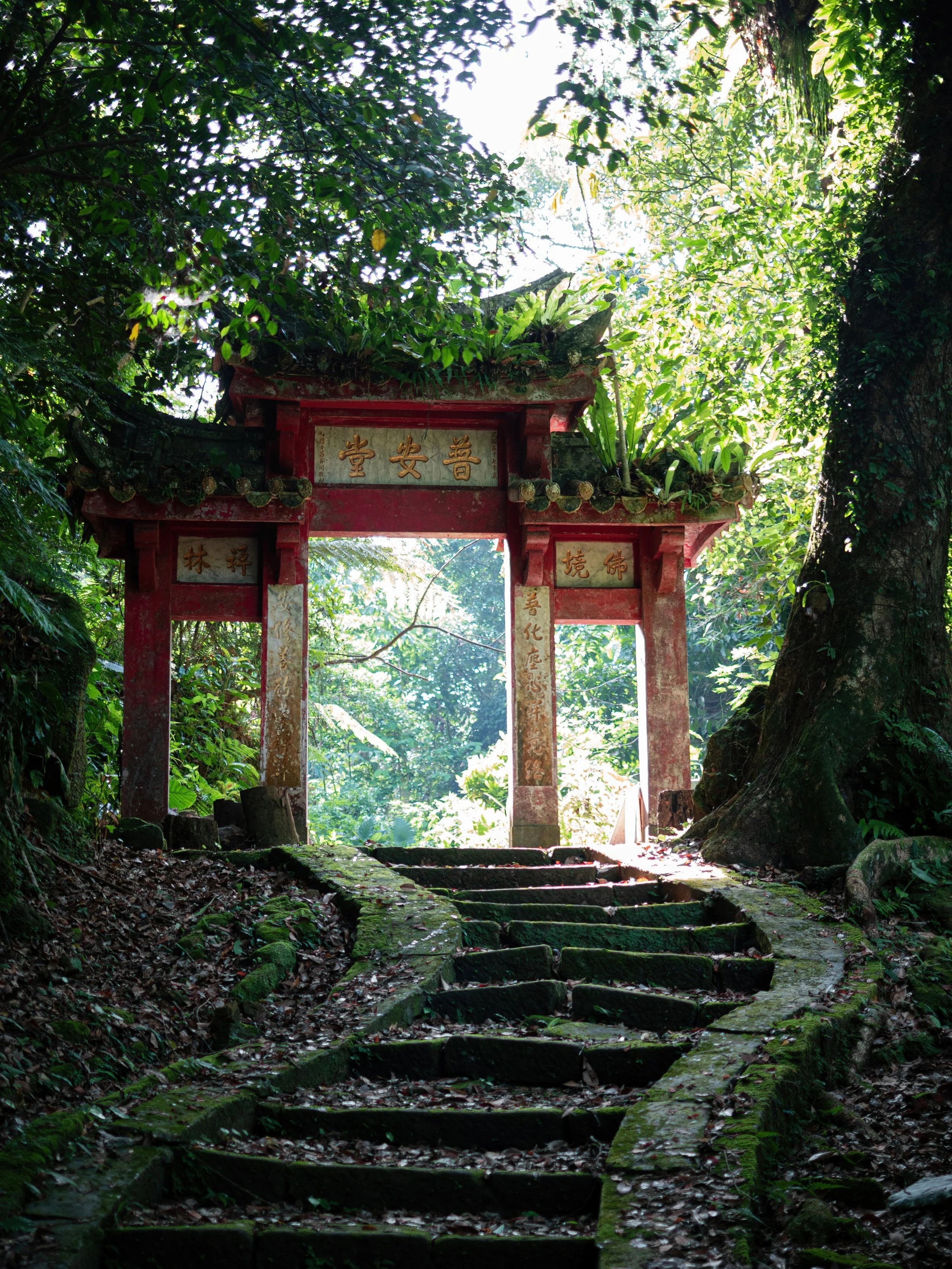 Pu'an Hall's Gate ( 普安堂 )