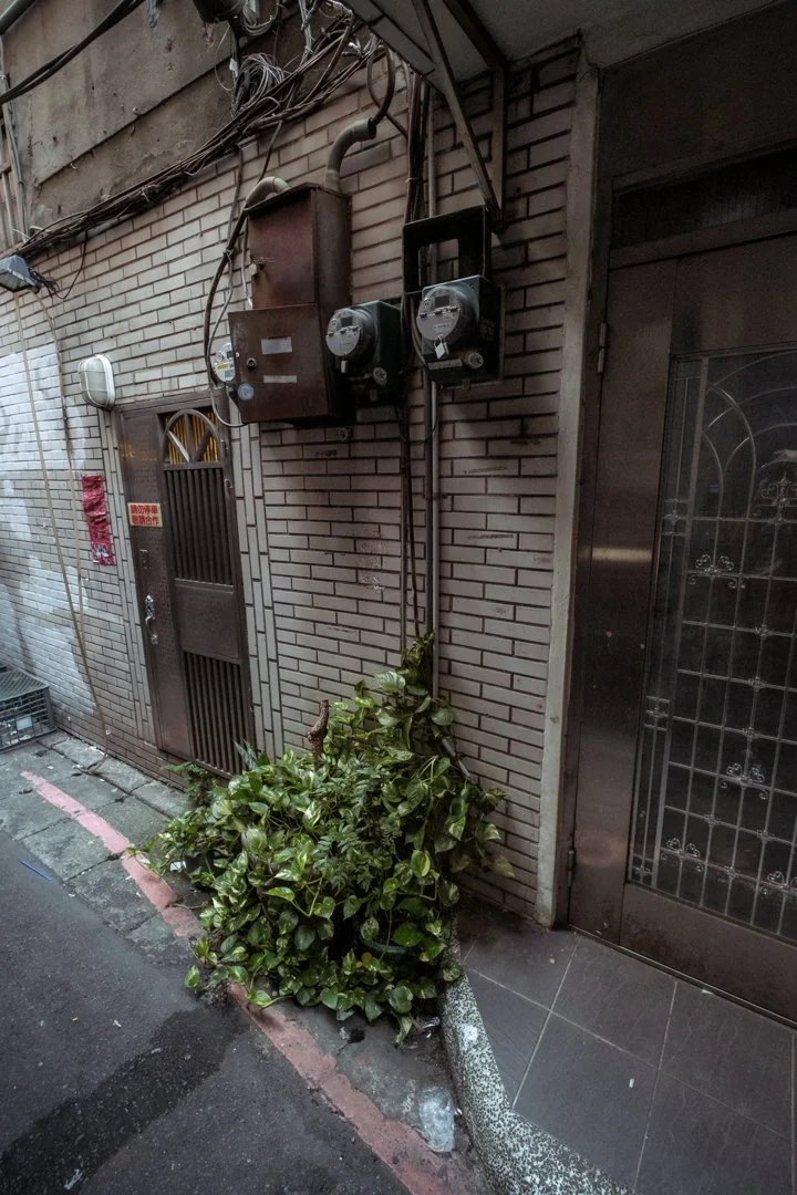 DSCF4965-84.jpg