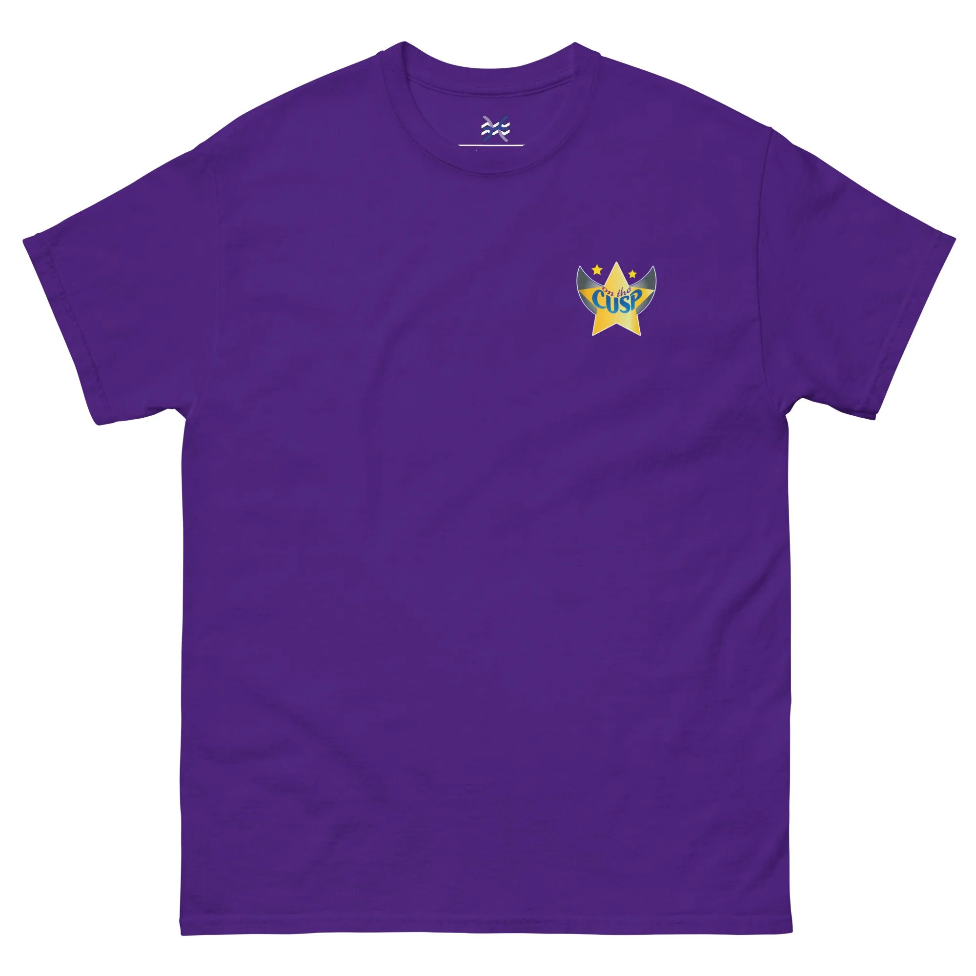 unisex-classic-tee-purple-front-68543f033559f.jpg