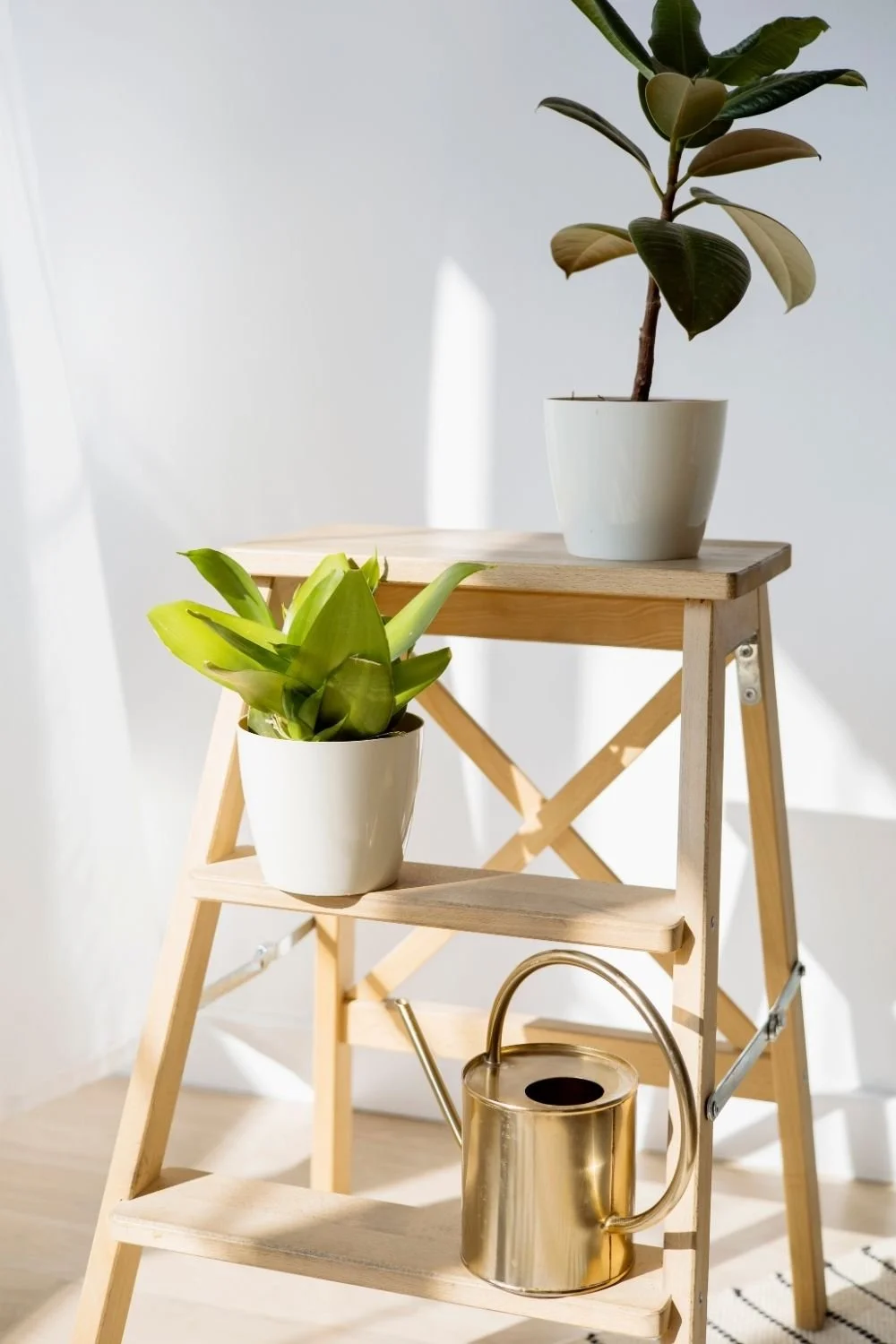 A wooden step ladder holding two potted plants, a bamboo plant on the top and a succulent on the middle, with a golden watering can on the bottom shelf, in a bright room with white walls and sunlight.
