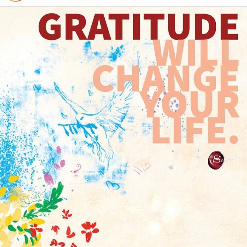 What are you grateful for today? Owning a business is hard work and sometimes lots of fun!!! I&rsquo;m so grateful I get to see something grow that I planted. GO! Nutrition has been my baby for 7 years and we just rebranded with beautiful healthy sna