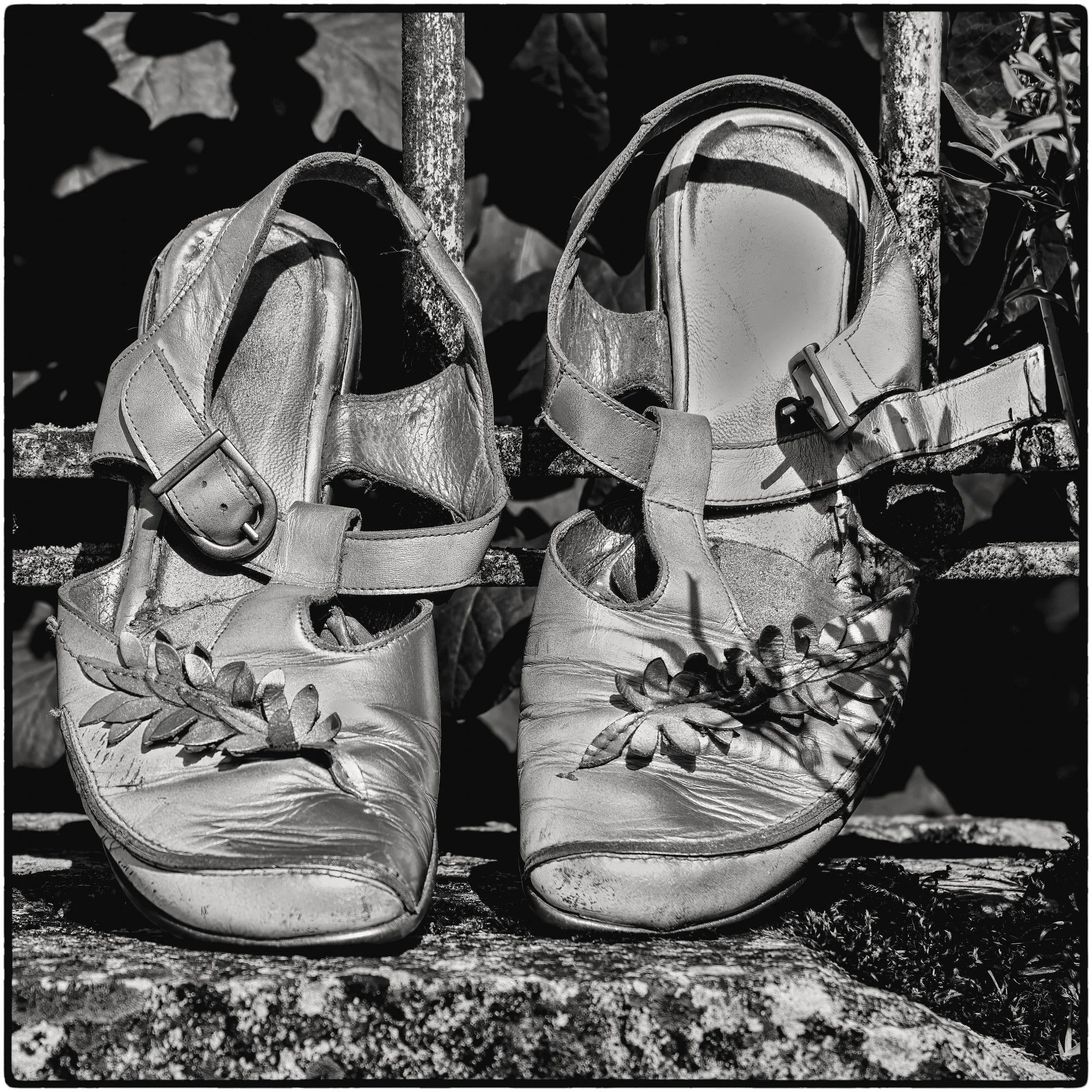 Shoes, Liglet