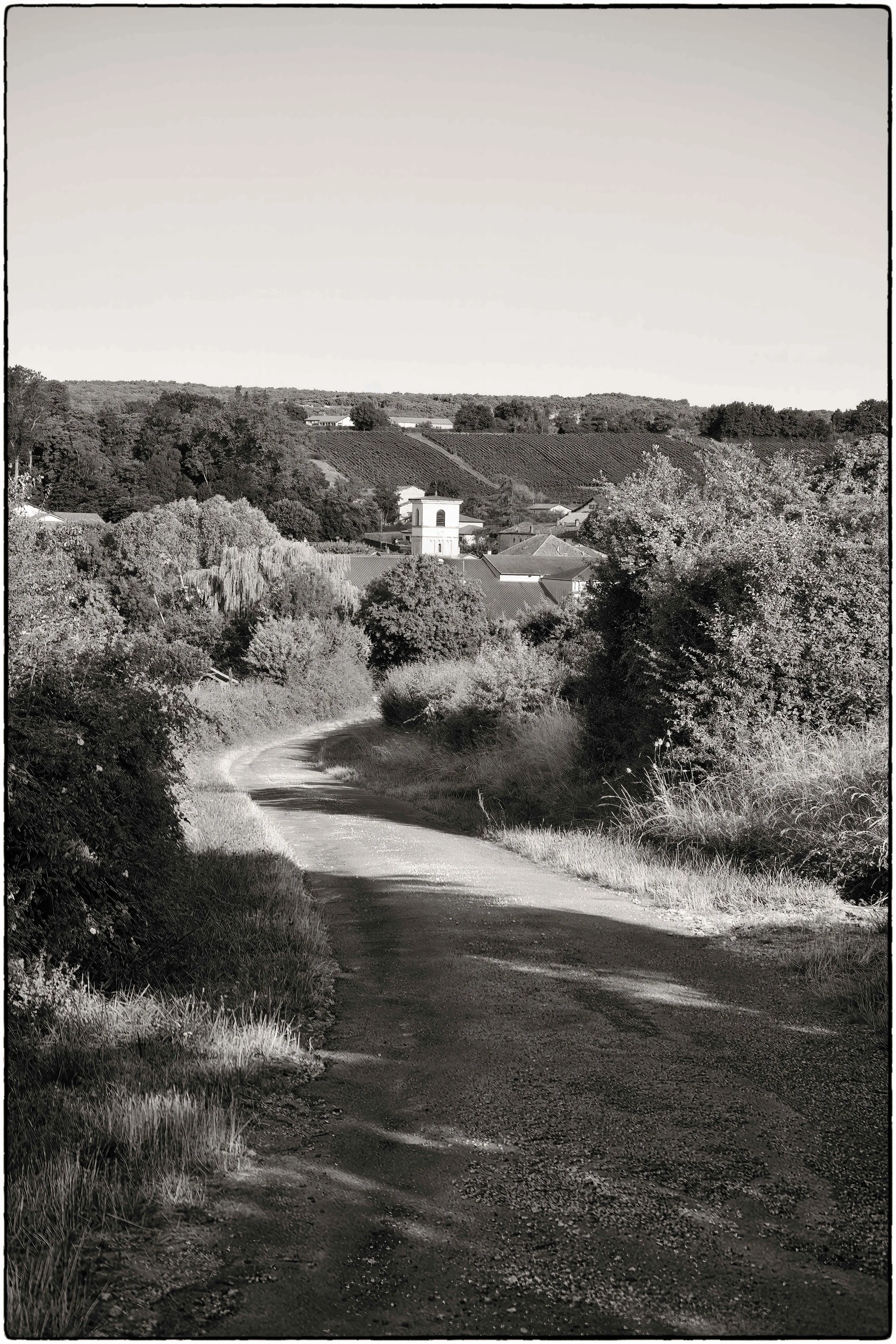 Chardonnay Chemin