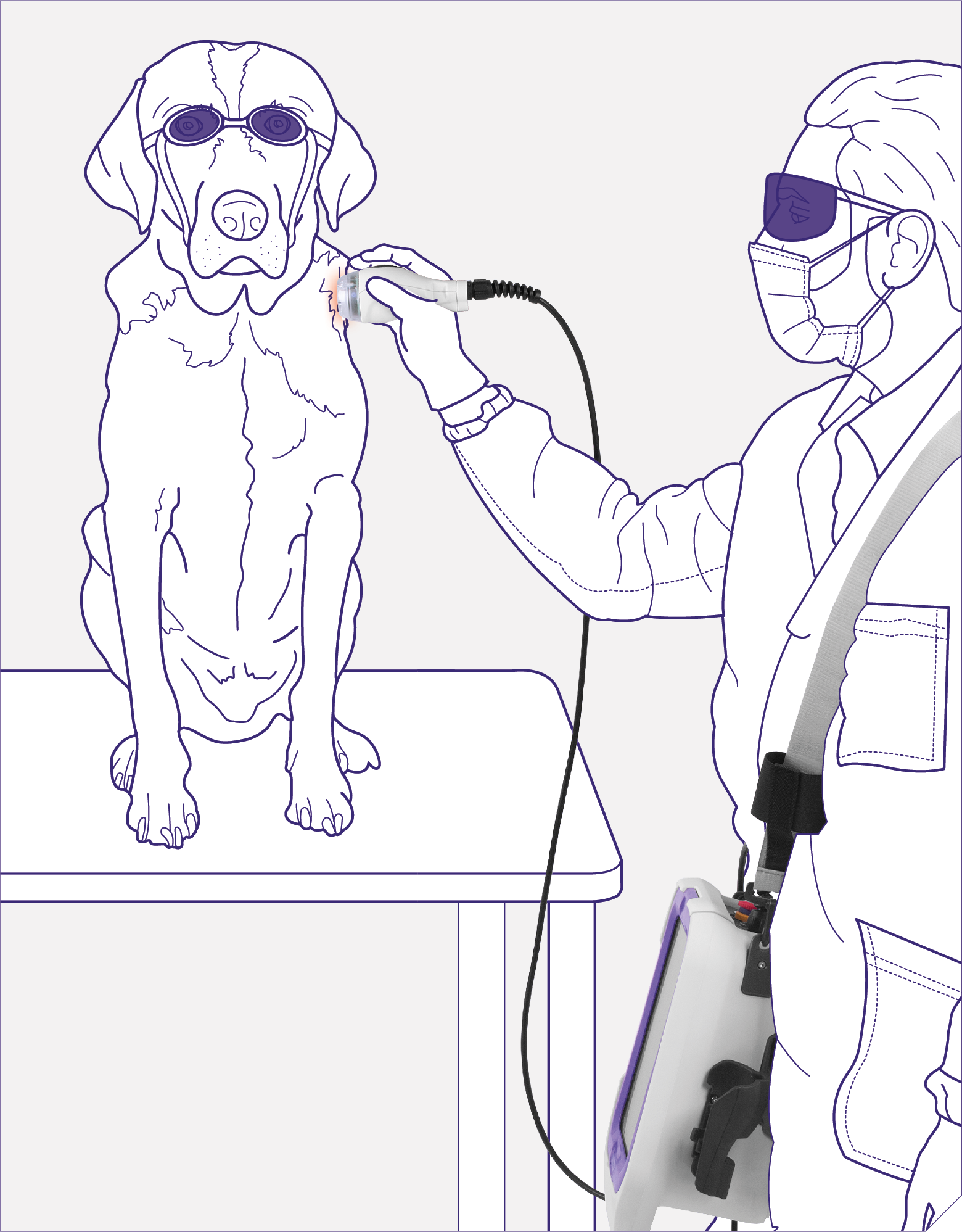 Illustration af hund, der får laserbehandling med ASA M-VET 270 Watt klasse 4 laser fra ASAlaser. Effektiv High Peak Power laserterapi til smertelindring, heling og rehabilitering.