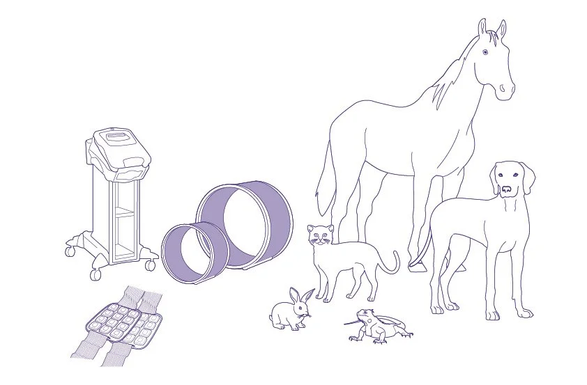Illustration af ASA PMT Q VET magnetoterapi med solenoider og Flexa Vet-applikatorer – pulserende elektromagnetisk behandling til heste, hunde og mindre dyr.
