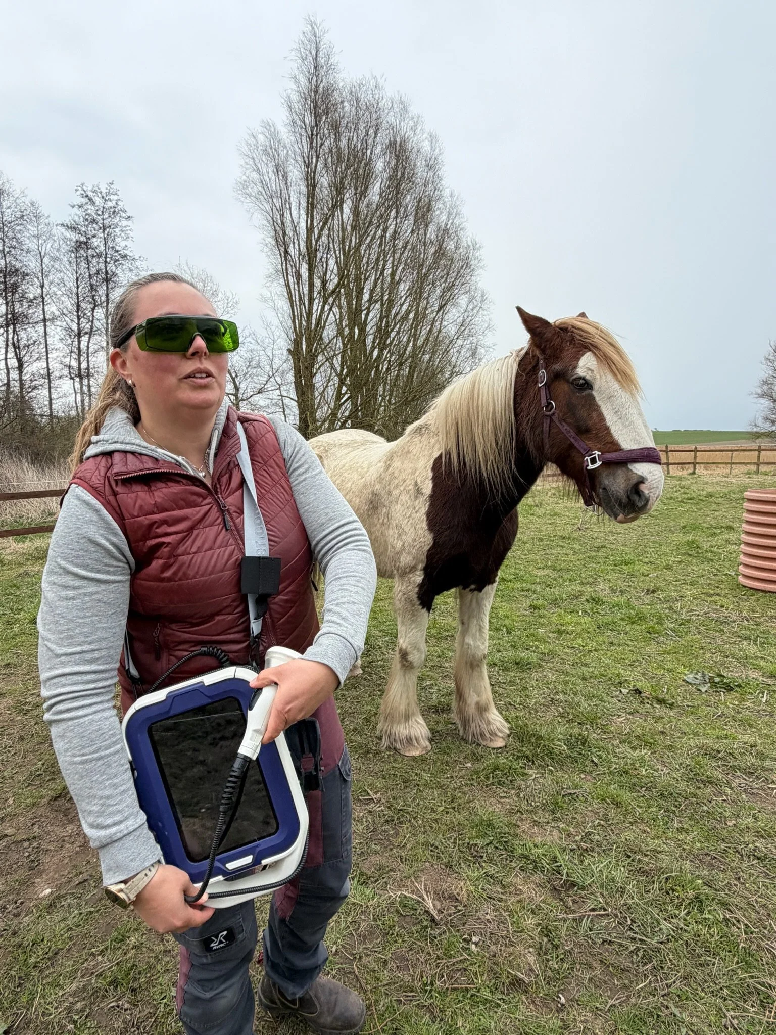 ASAlaser laserbriller ved mobil laserbehandling af hest. Beskyttelsesbriller til sikker brug af laserudstyr uden for klinikken.