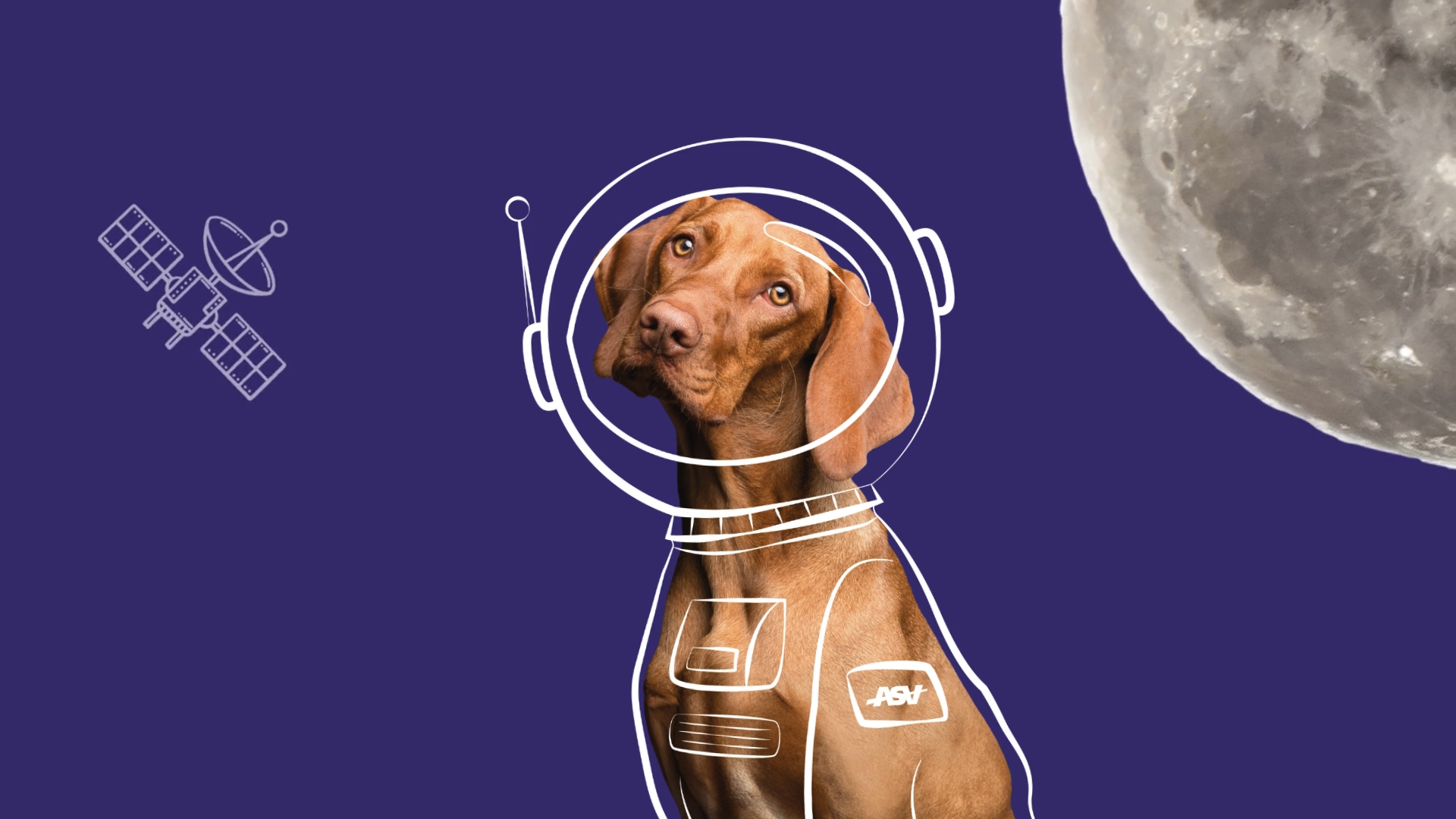 A dog wearing an astronaut helmet with a white line drawing of a spacesuit, against a dark blue background with a satellite and the moon. Has a ASA Laser Logo on the dogs body.