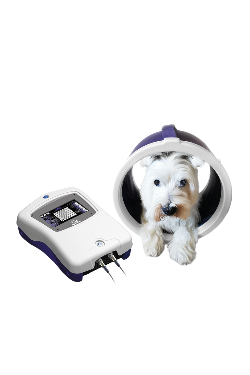 ASA PMT Q VET magnetoterapi med solenoide-applikator til pulserende elektromagnetisk behandling af hunde og andre dyr.