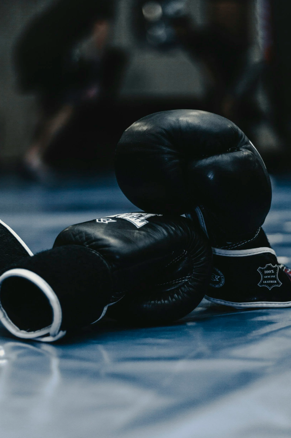BOXE DEFENSE