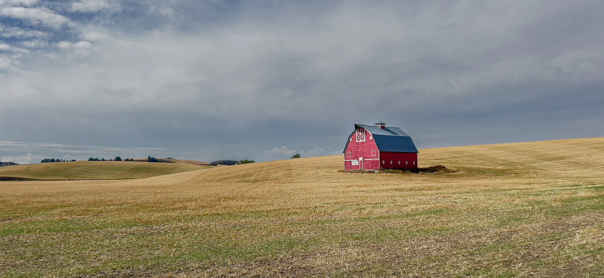Red on the Prairie - Idaho