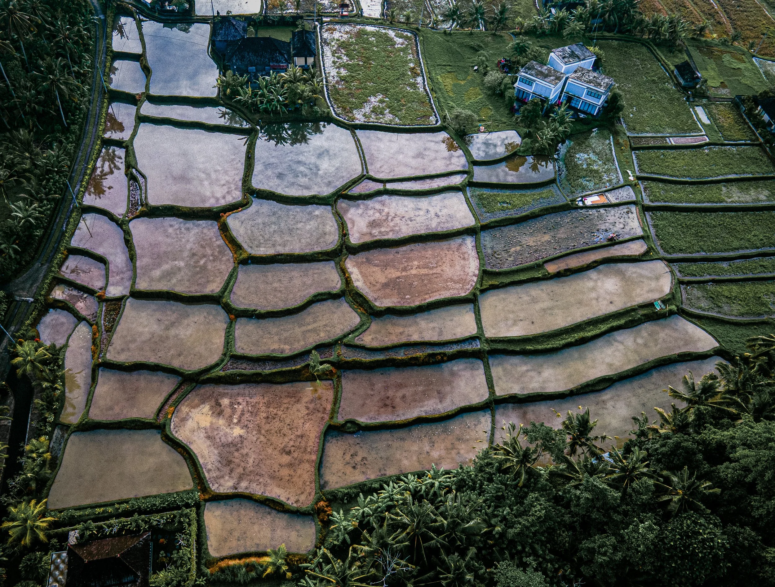 Terraces - Bali, Indonesia 