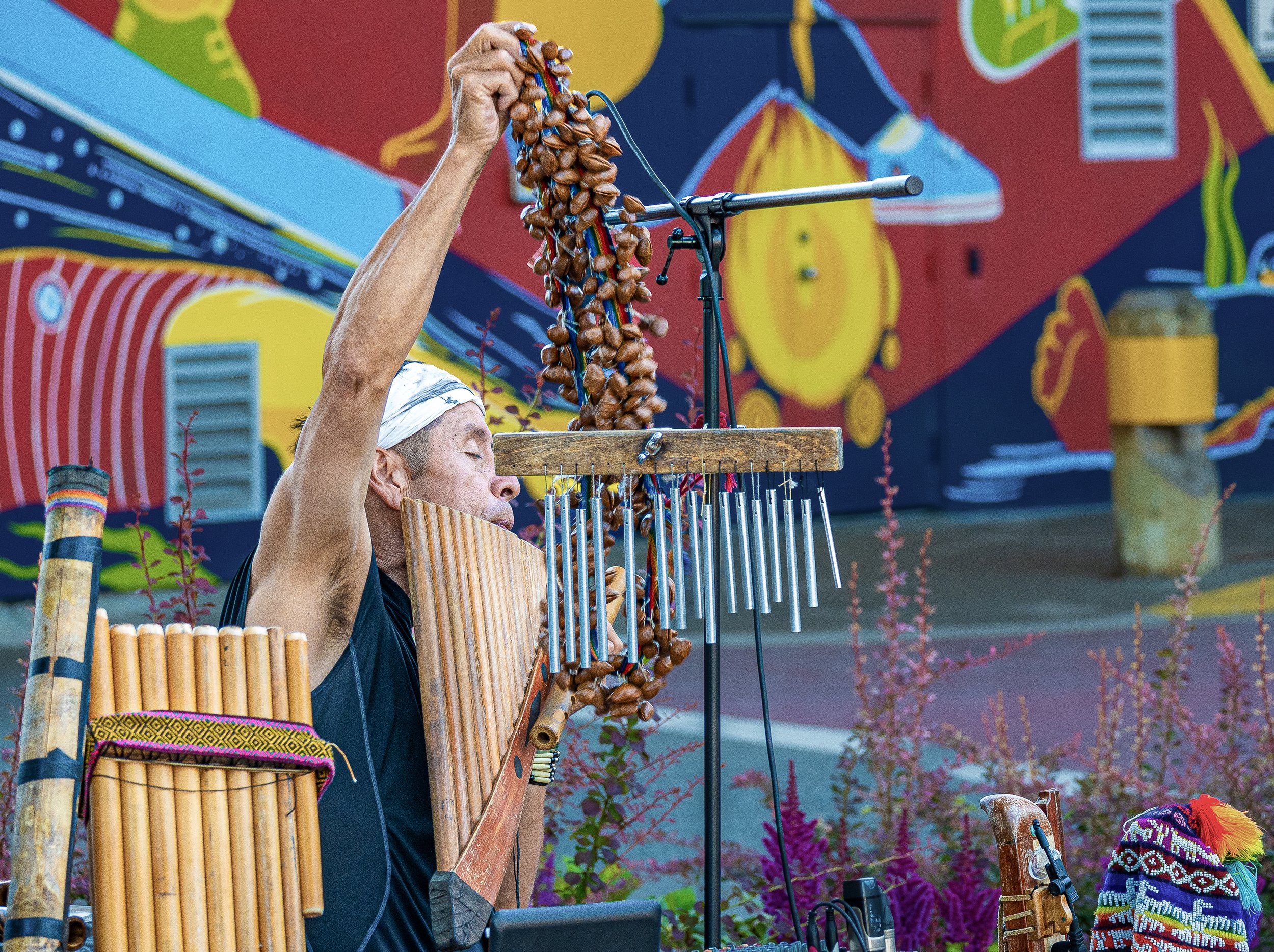 The Musician - Vancouver, British Colombia