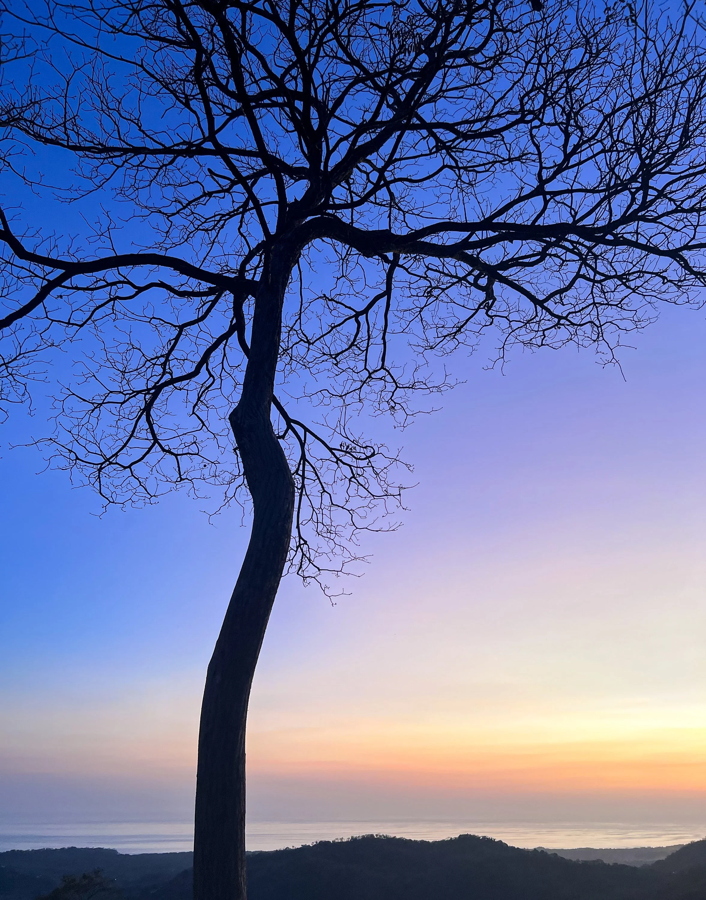 Standing at Dusk - Nosara, Costa Rica