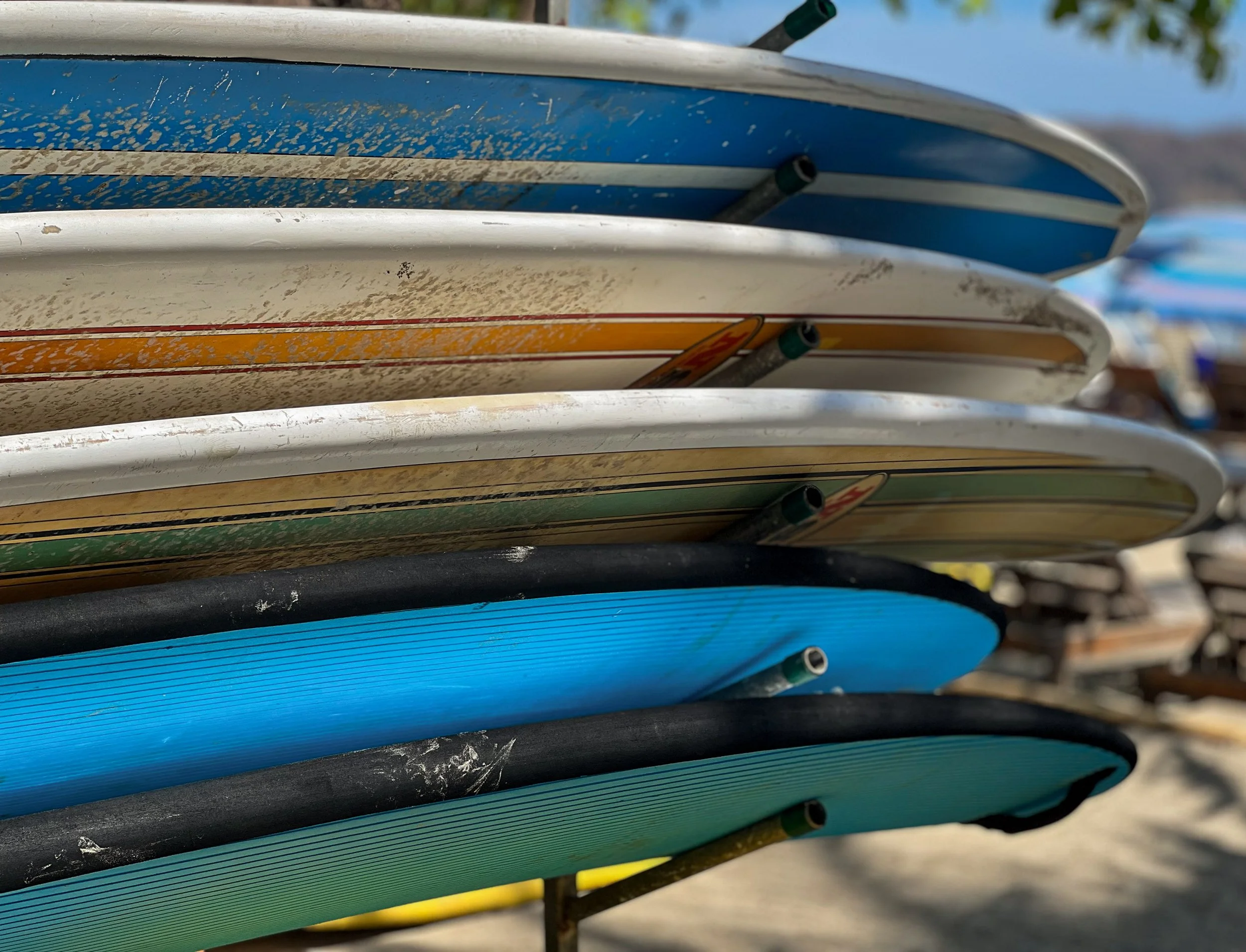 Beach Workhorses - Samara - Costa Rica