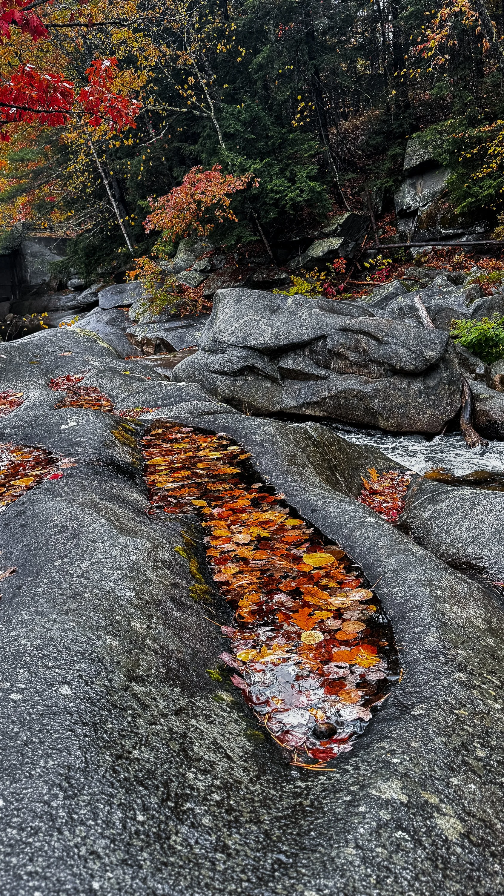 Autumn Currents - New Hampshire