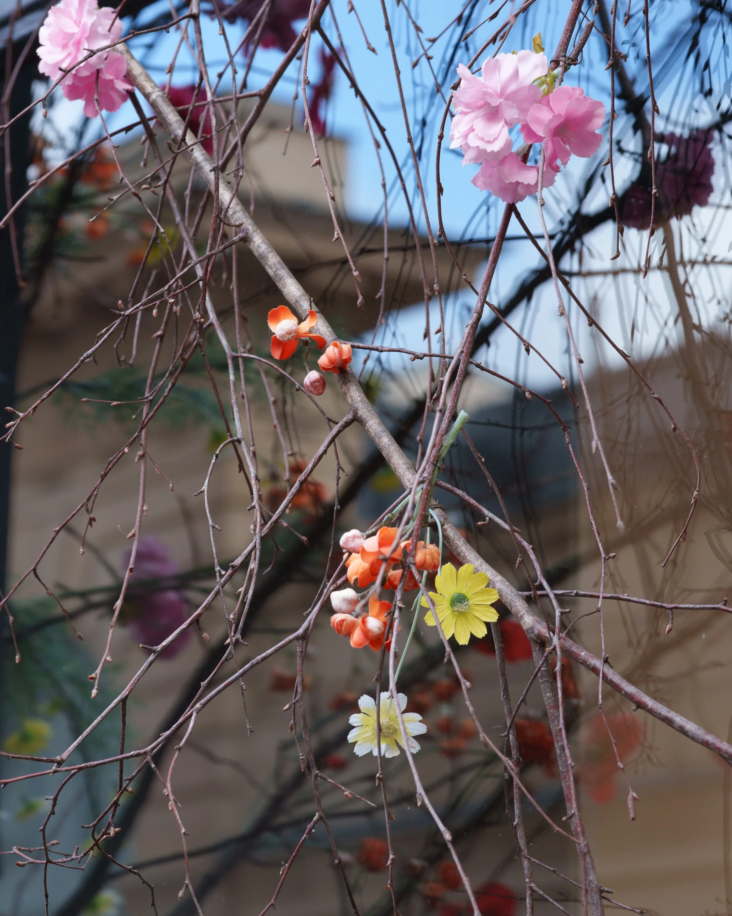 Last Blooms of Autumn - Paris, France - October 2026