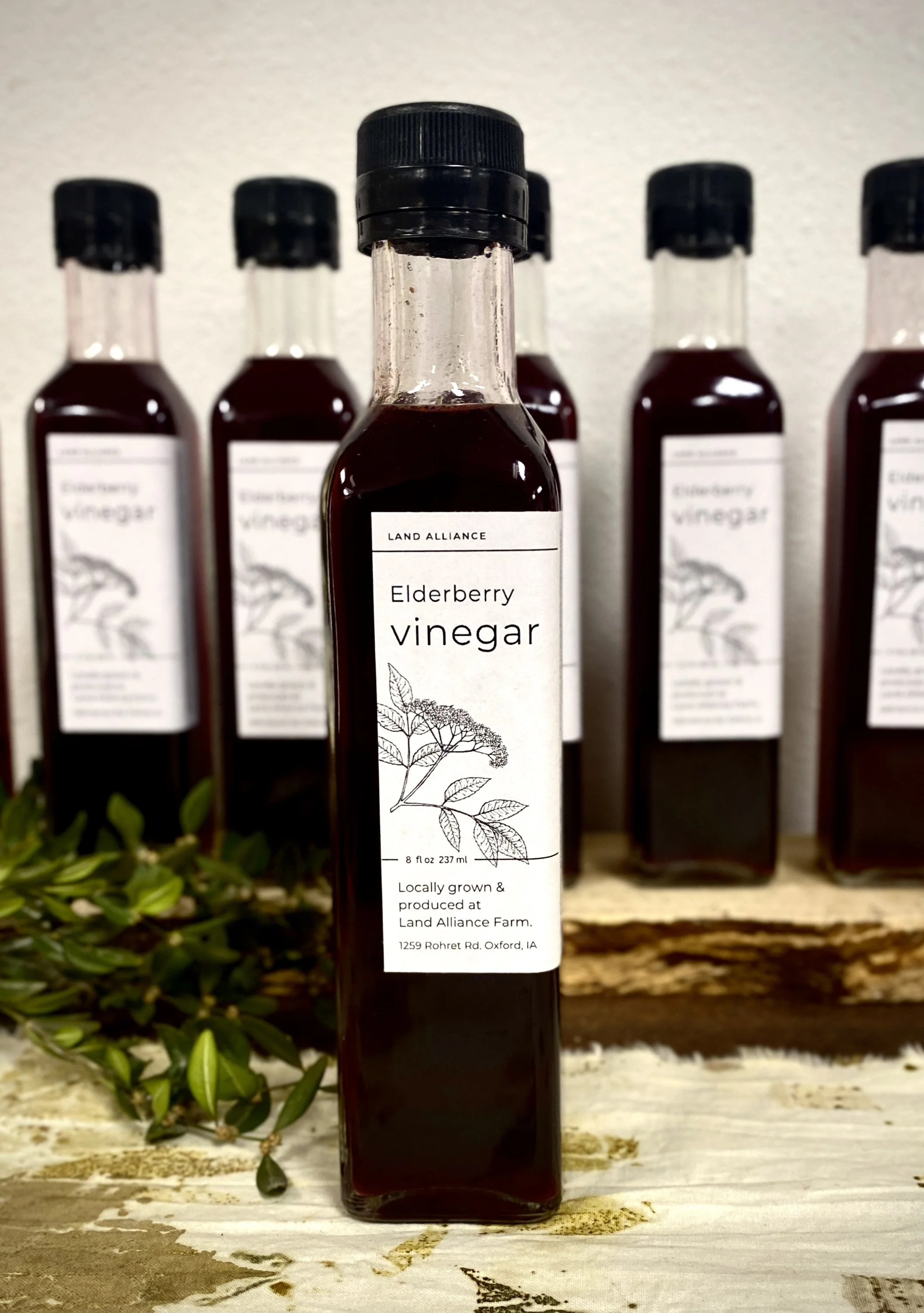 Elderberry Vinegar.jpg