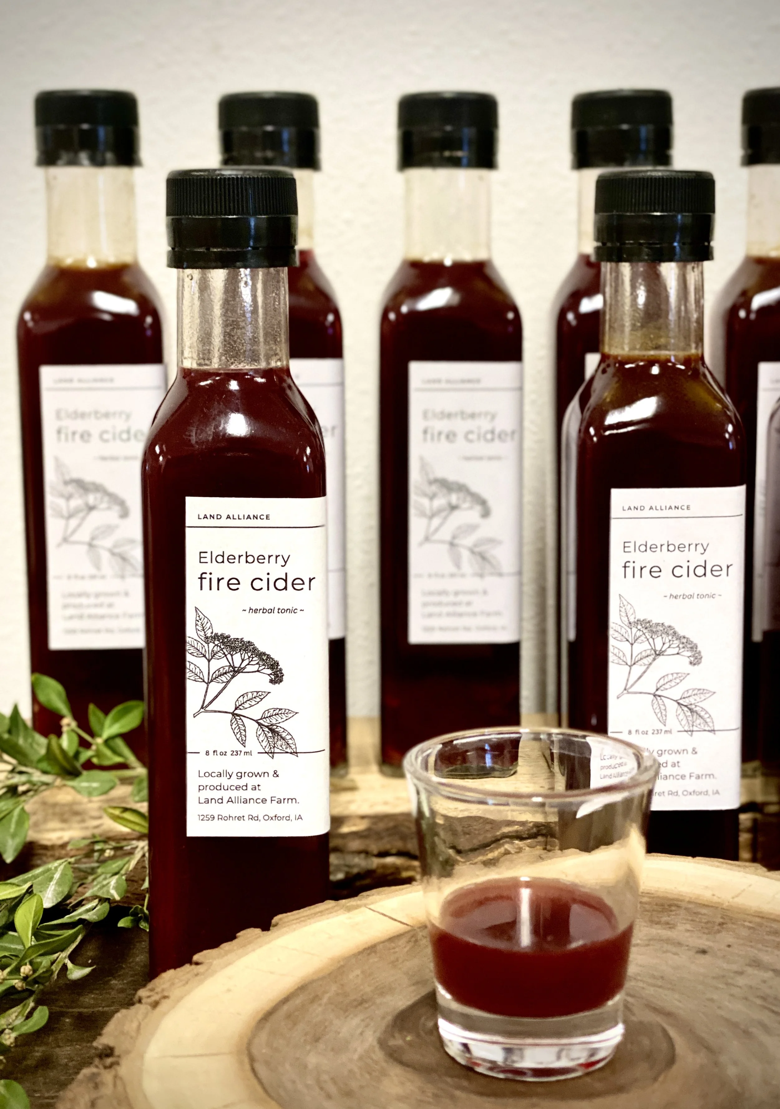 Fire Cider.jpg