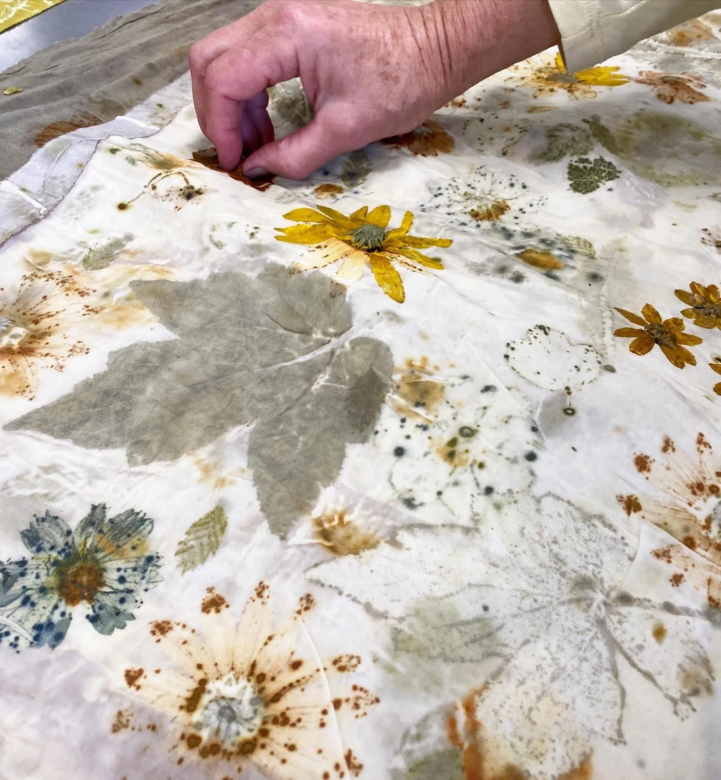 Annual Botanical Printing Reunion