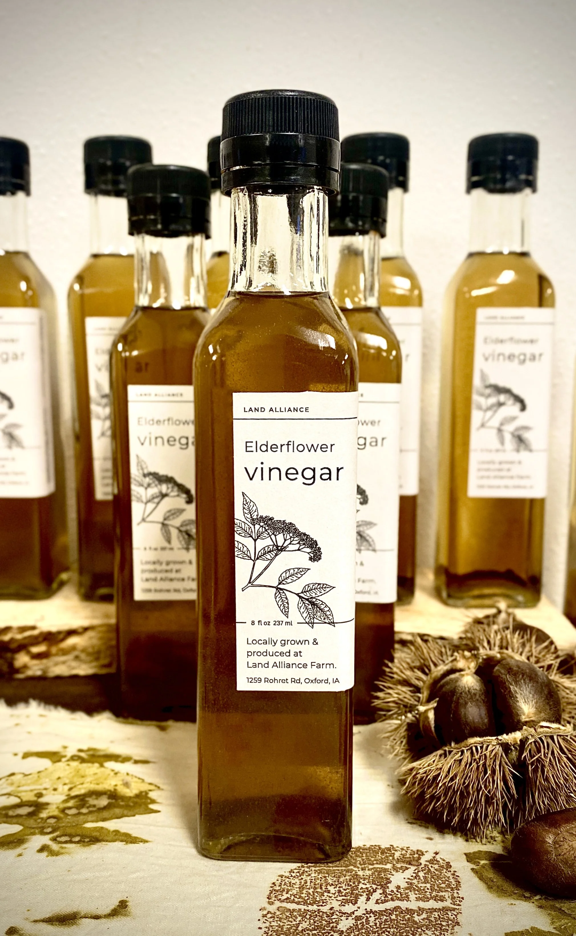 Elderflower Vinegar.jpg