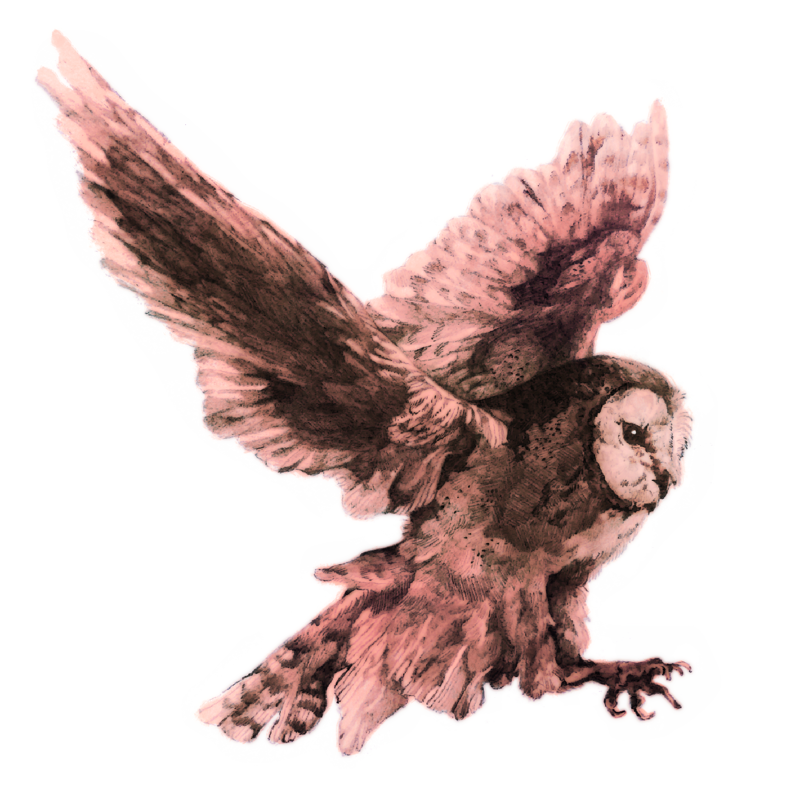79A5CCAE-D7E6-431C-847F-53106BD4DA96.png