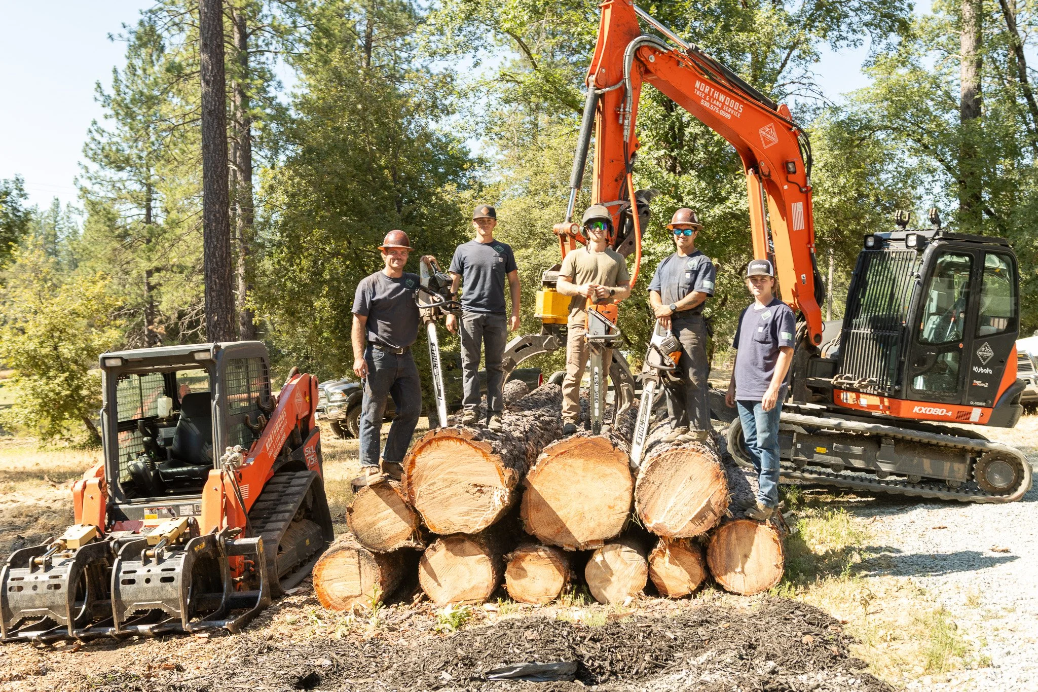 Five workers stand on cut logs in front of a large orange excavator, with a smaller piece of machinery on the side, in a wooded outdoor setting.