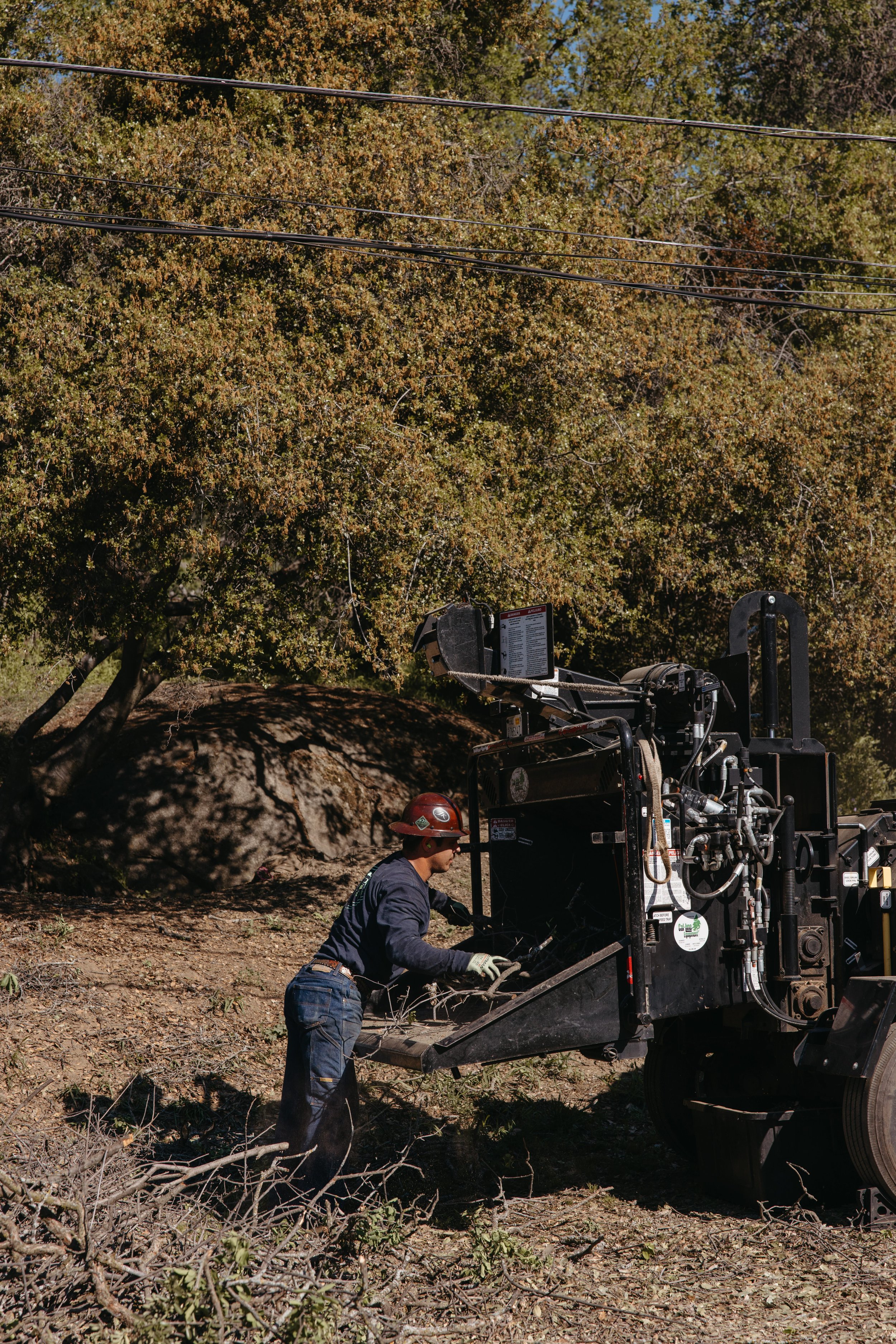 A worker wearing a red safety helmet and gloves is using a wood chipper to process branches in an outdoor setting with trees and power lines in the background.