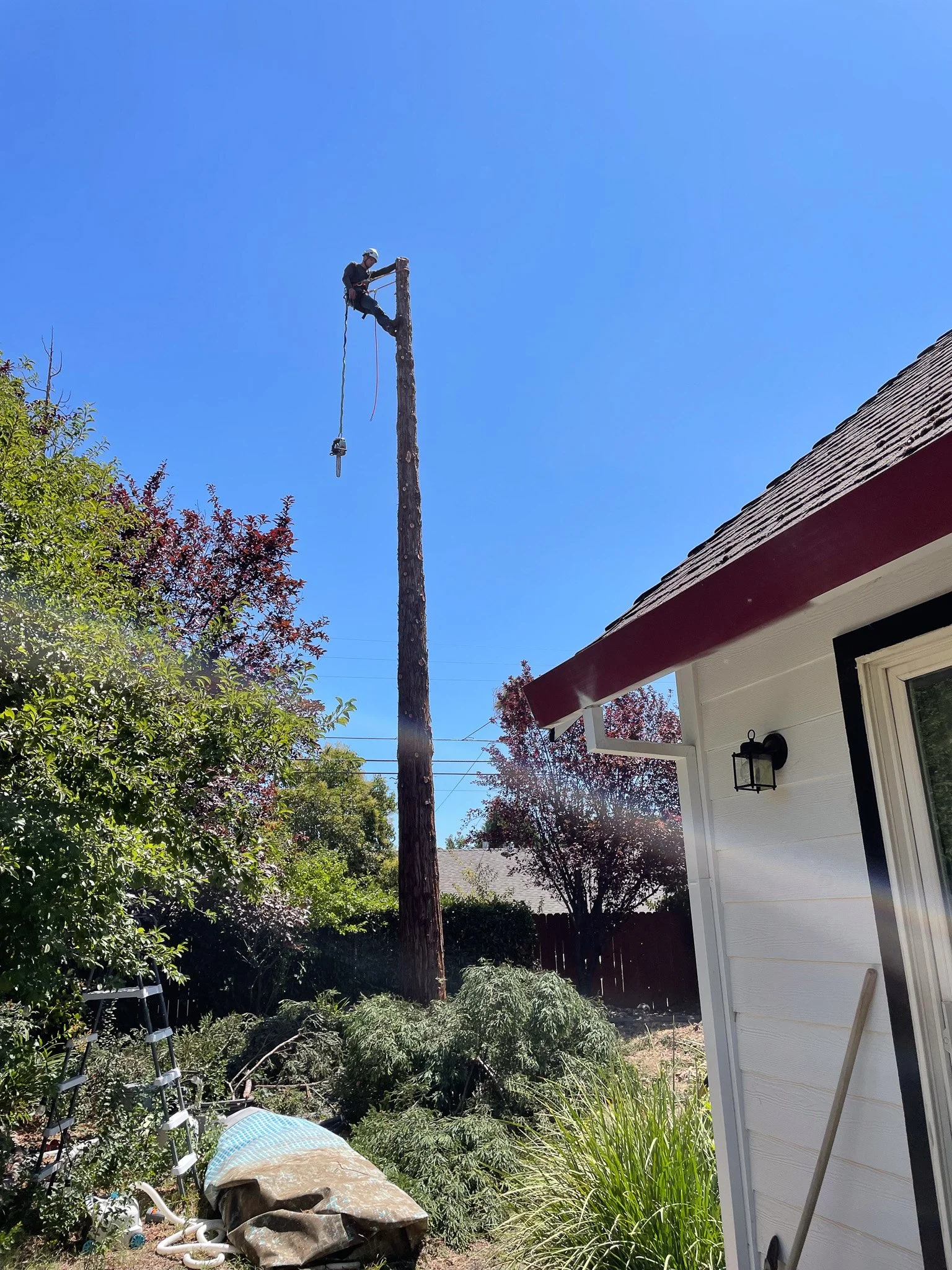 A worker in safety gear is climbing a utility pole using a harness, working on electrical or communication lines on a clear, sunny day.