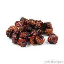 Alkékenge baie vrac