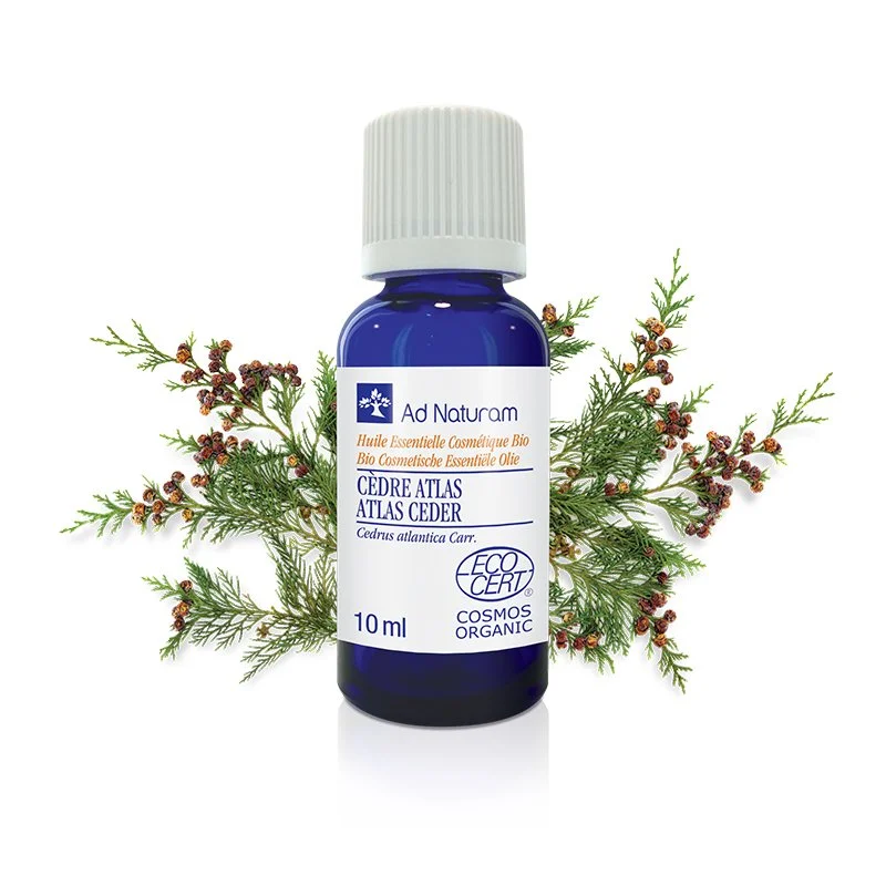 Cèdre de l’Atlas BIO 10ml