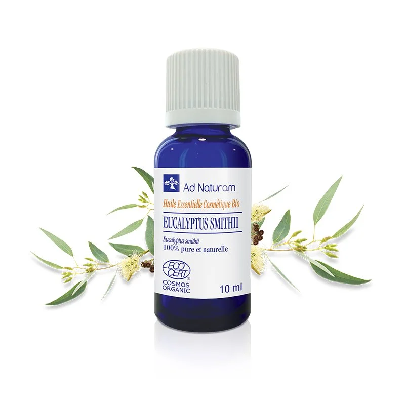 Eucalyptus Smithii BIO 10ml